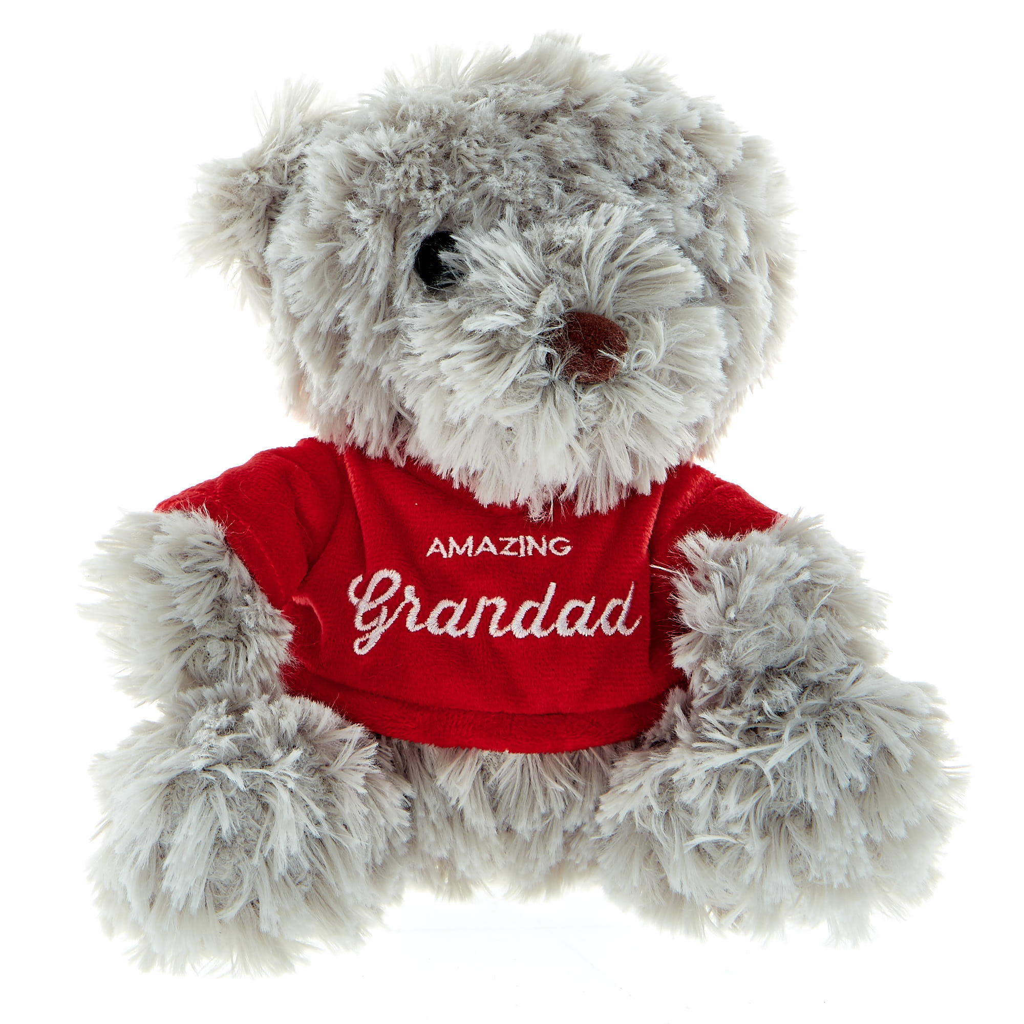 Amazing Grandad Bear Soft Toy