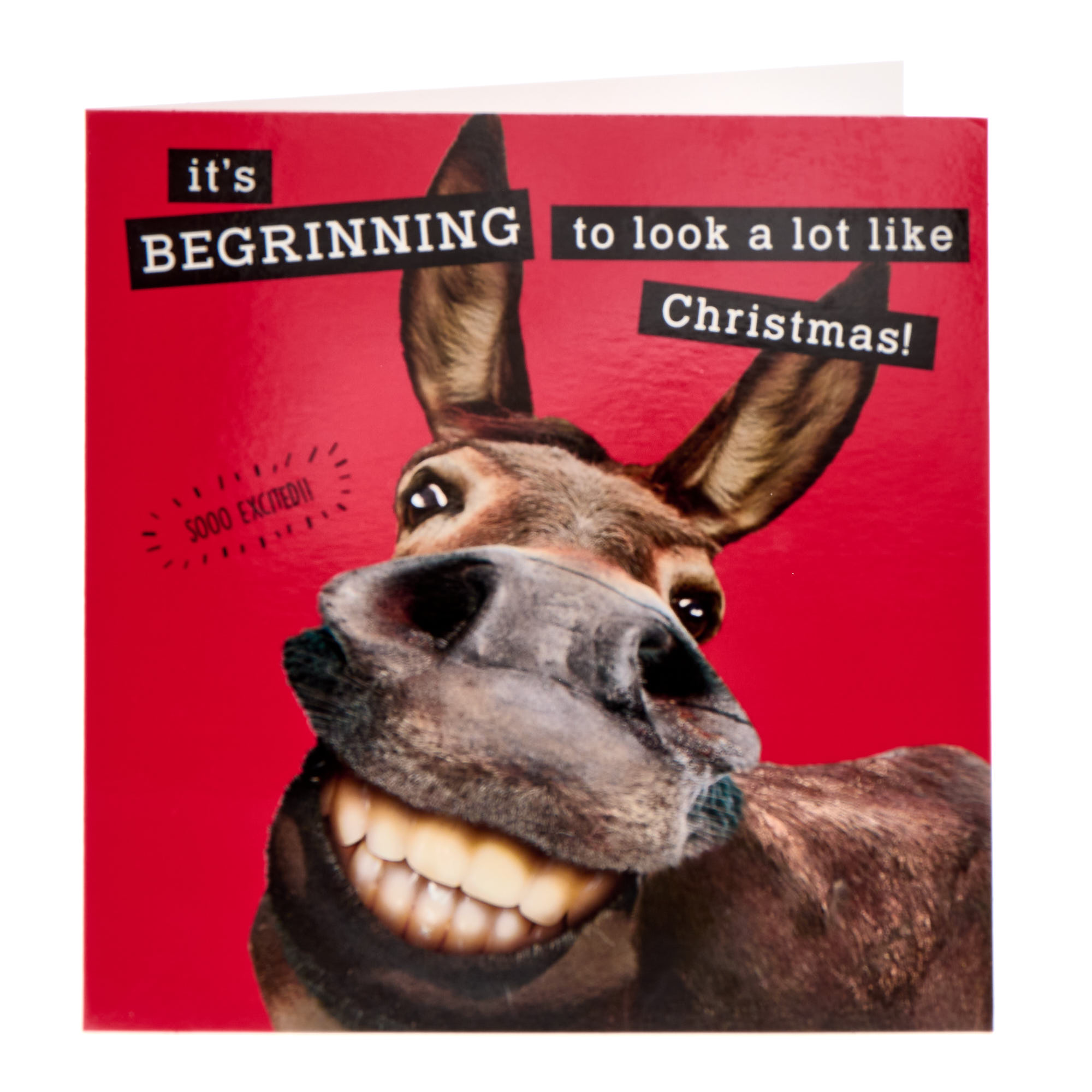 It's Begrinning To Look A Lot Like Christmas Card