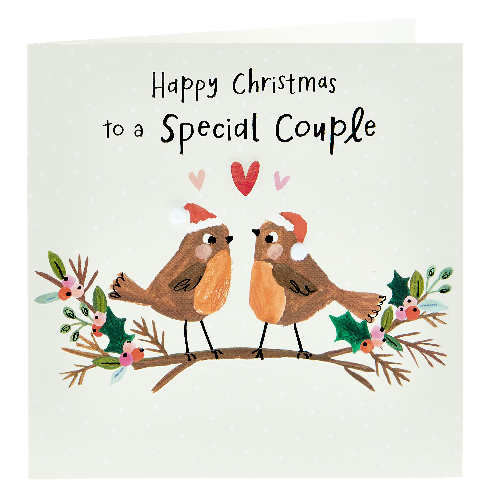 Exquisite Christmas Card - Special Couple Robins 