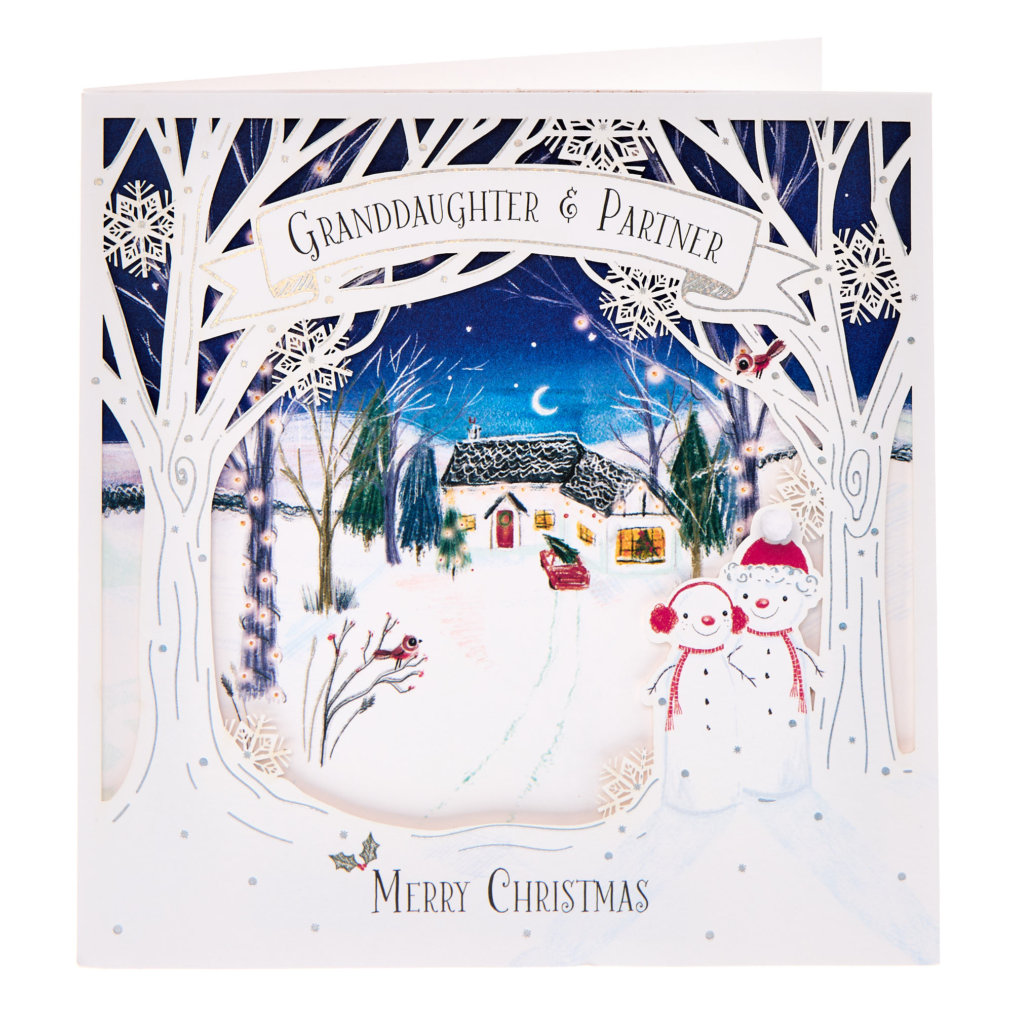 Granddaughter & Partner Snowy House Christmas Card