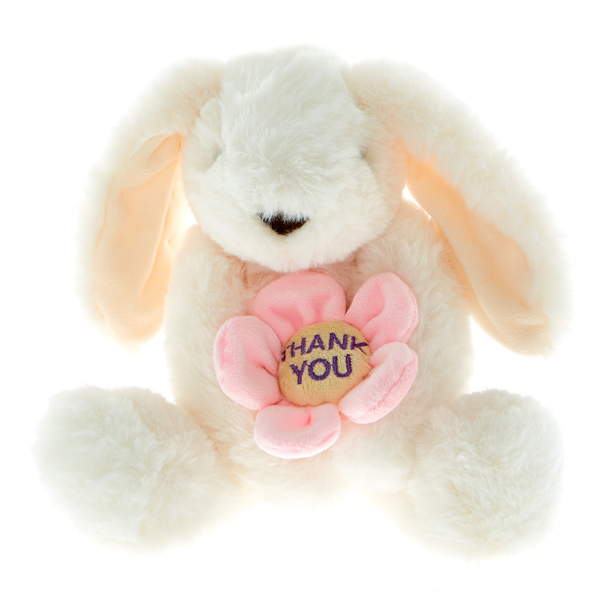 Thank You Bunny Soft Toy