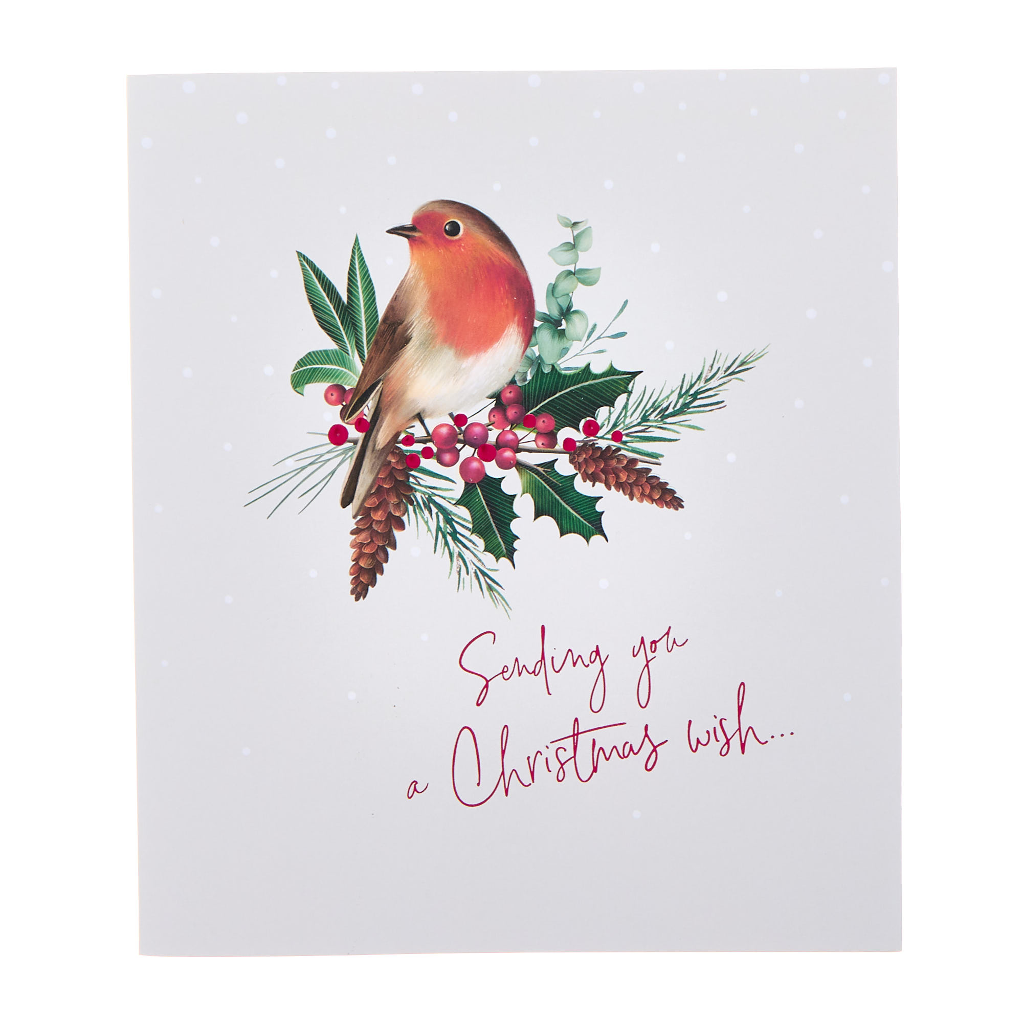 Premium Robin & Holly Christmas Cards - Pack of 8 (2 Designs)