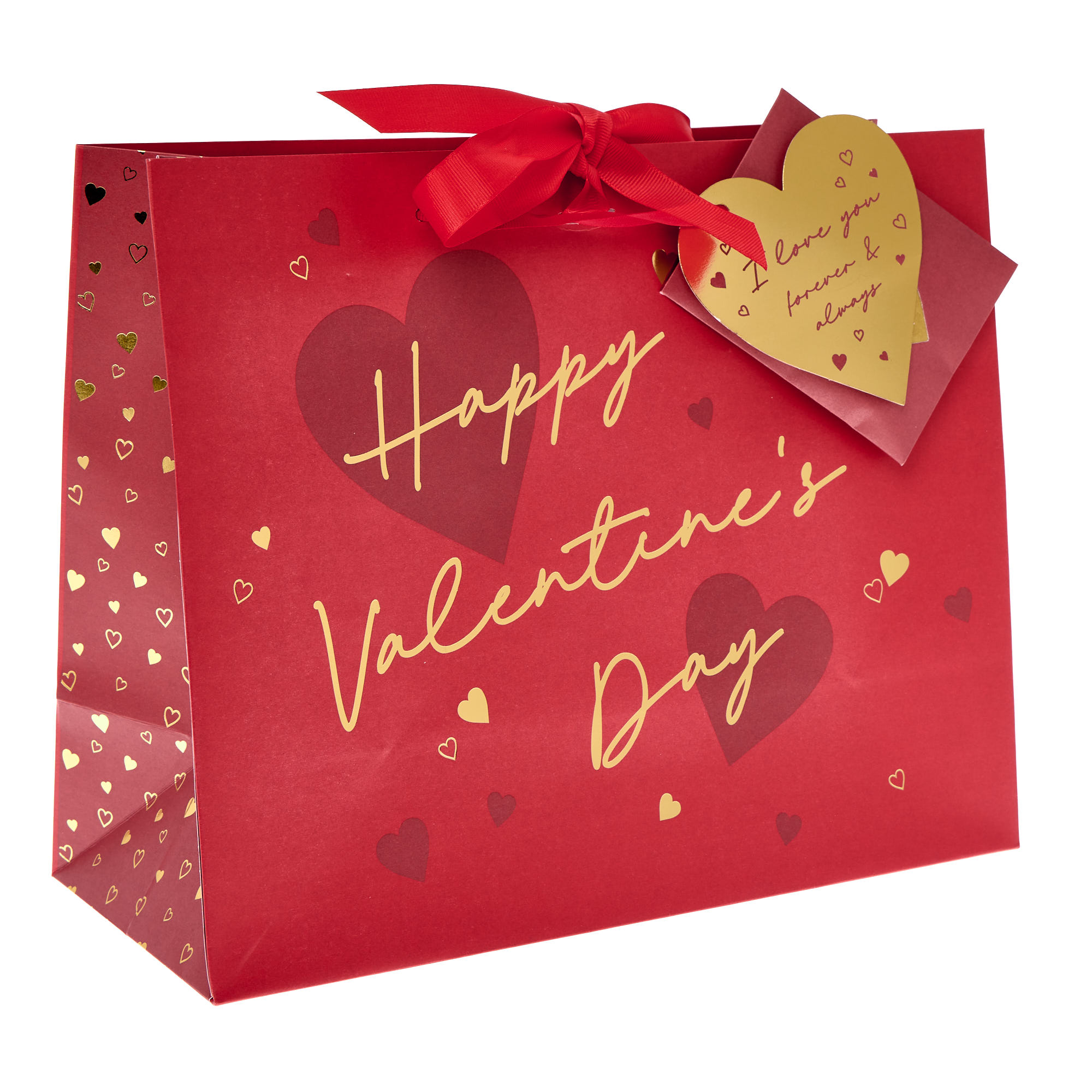 Premium Large Landscape Valentine's Day Gift Bag & Tissue Paper