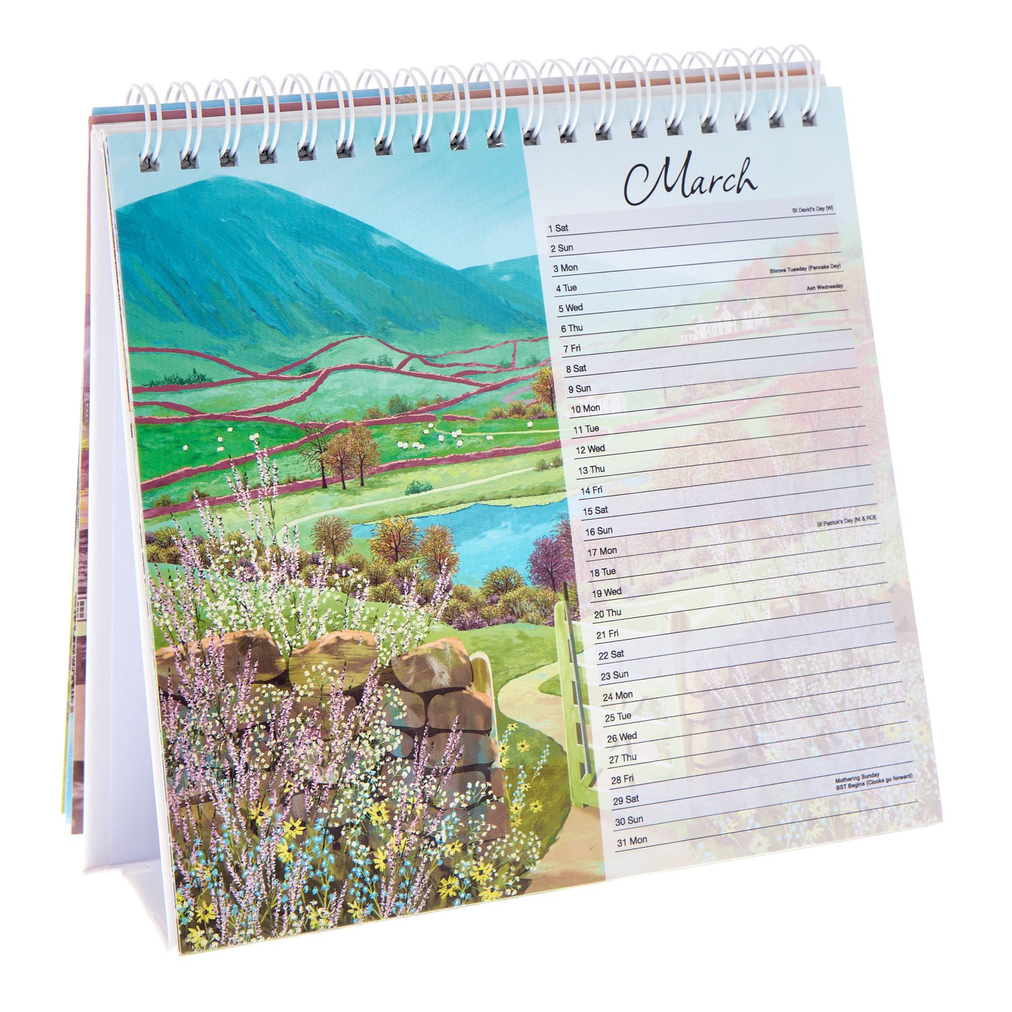 Staycation Desk Calendar 2025