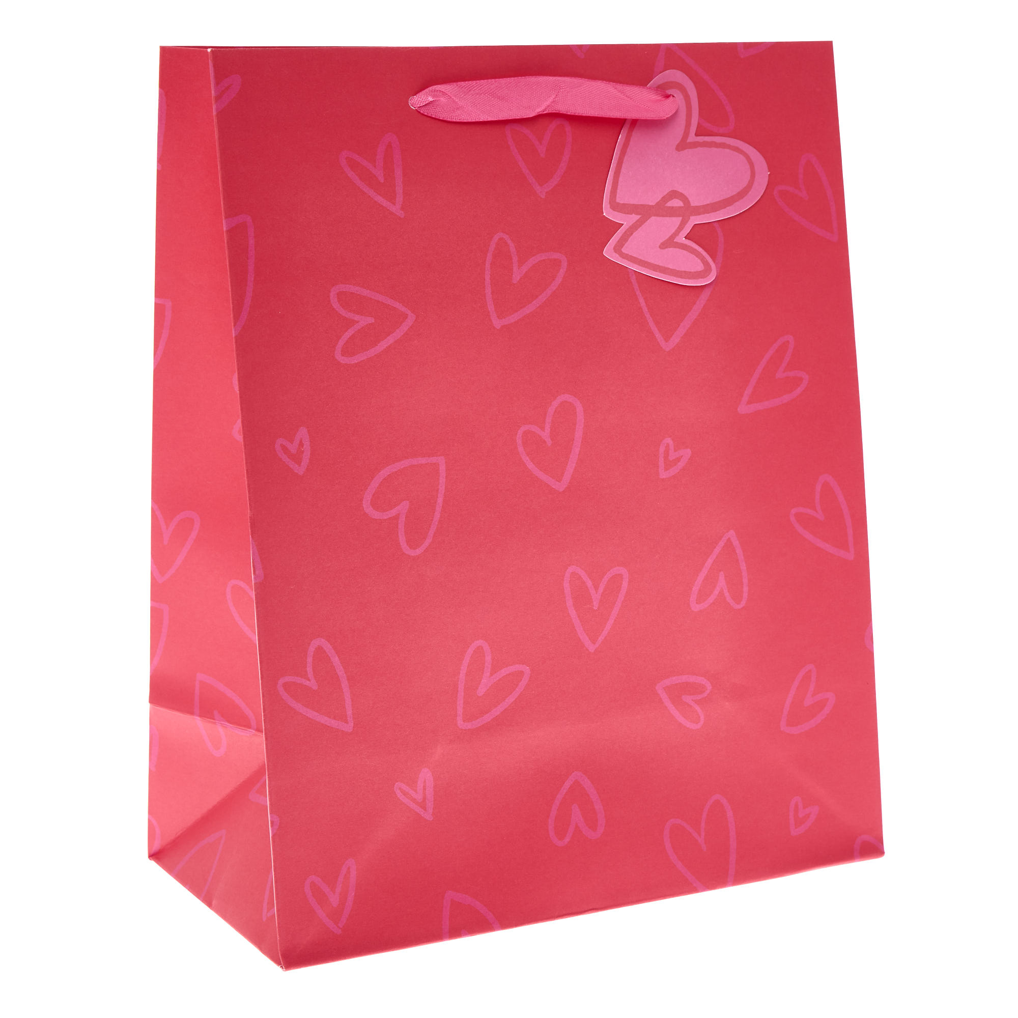 Pink & Red Hearts Large Portrait Valentine's Day Gift Bag