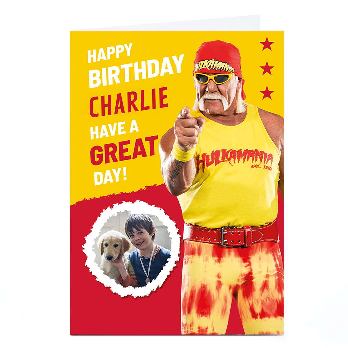 Photo WWE Birthday Card - Have A Great Day