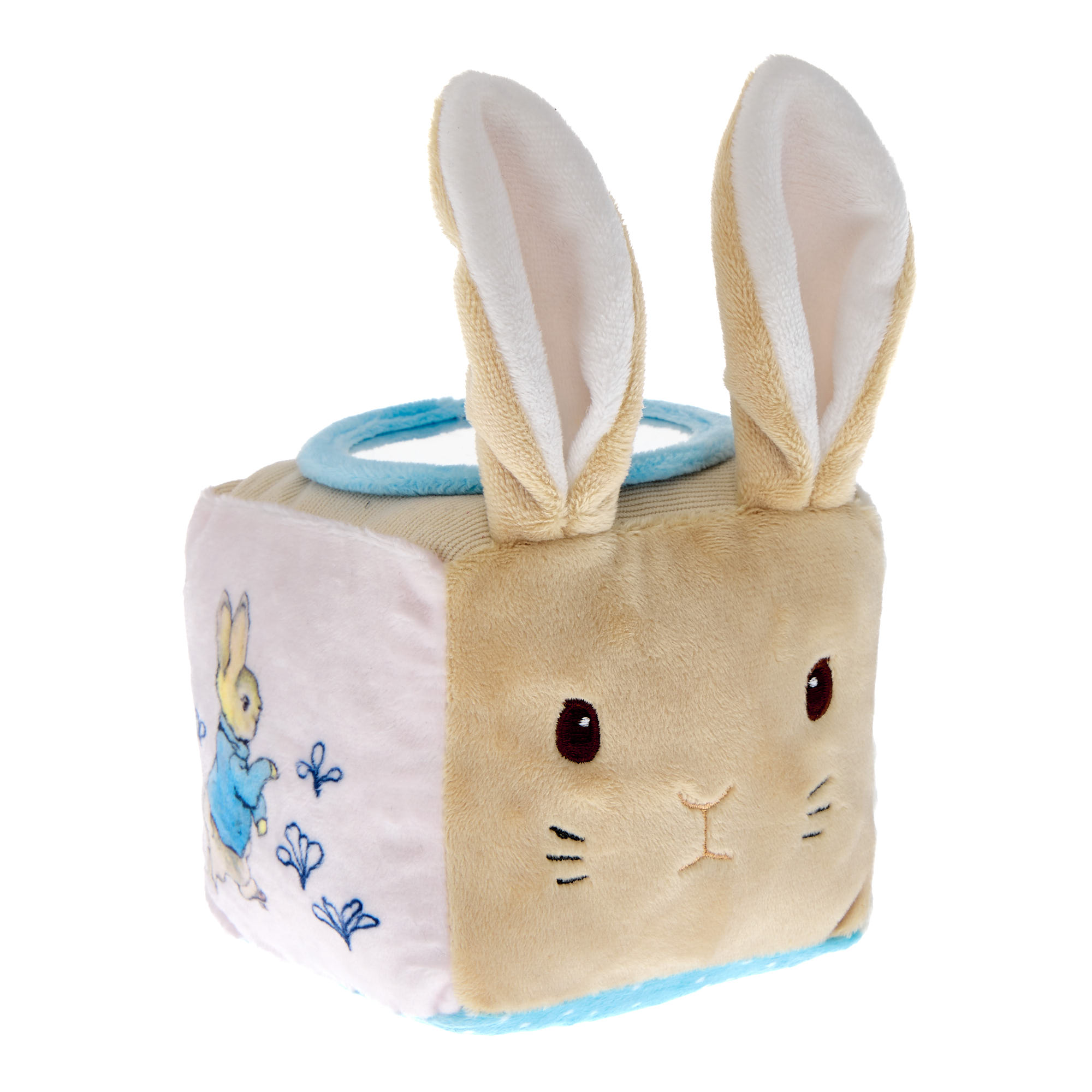 Peter Rabbit Activity Cube