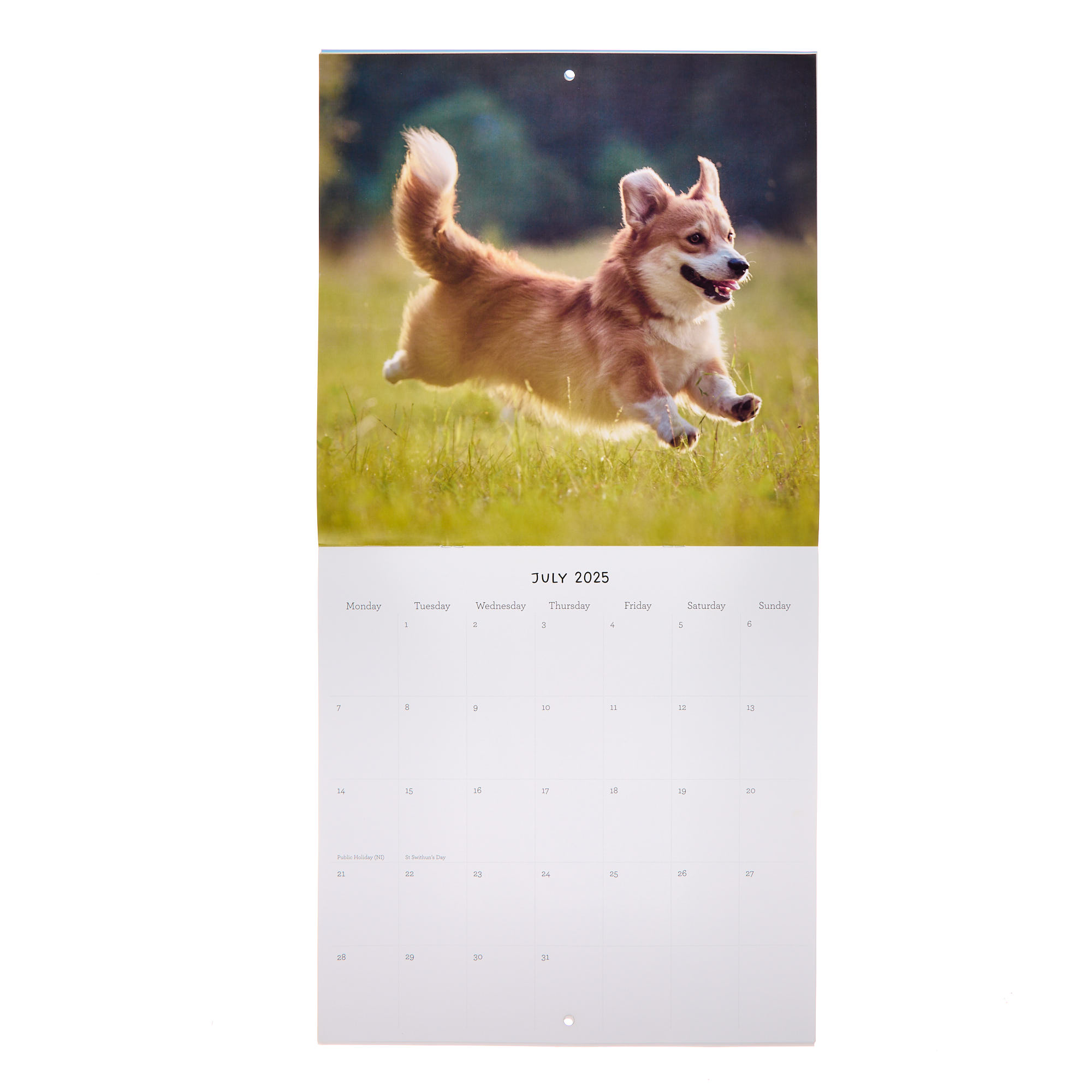 Dogs 2025 Square Calendar