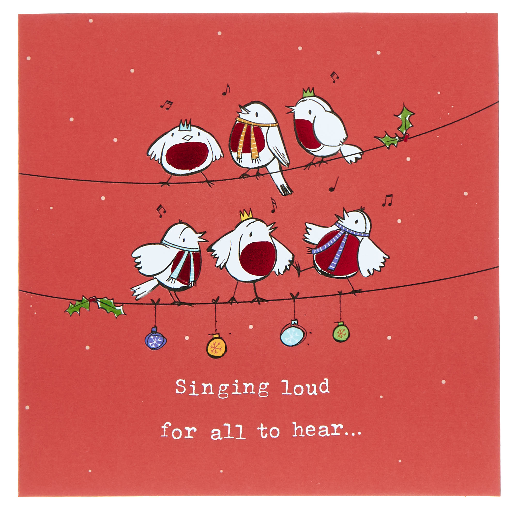 16 Charity Christmas Cards - Cartoon Robins (2 Designs)