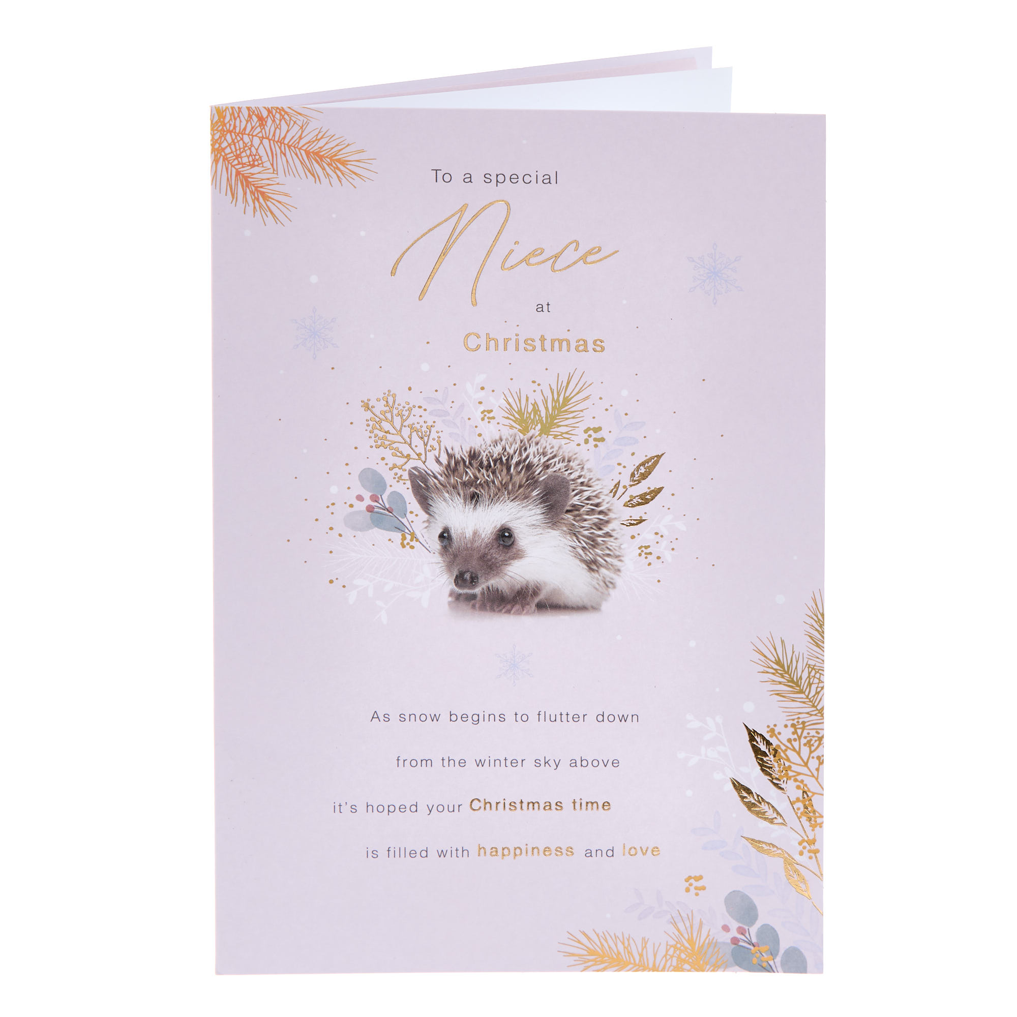 Special Niece Hedgehog Christmas Card