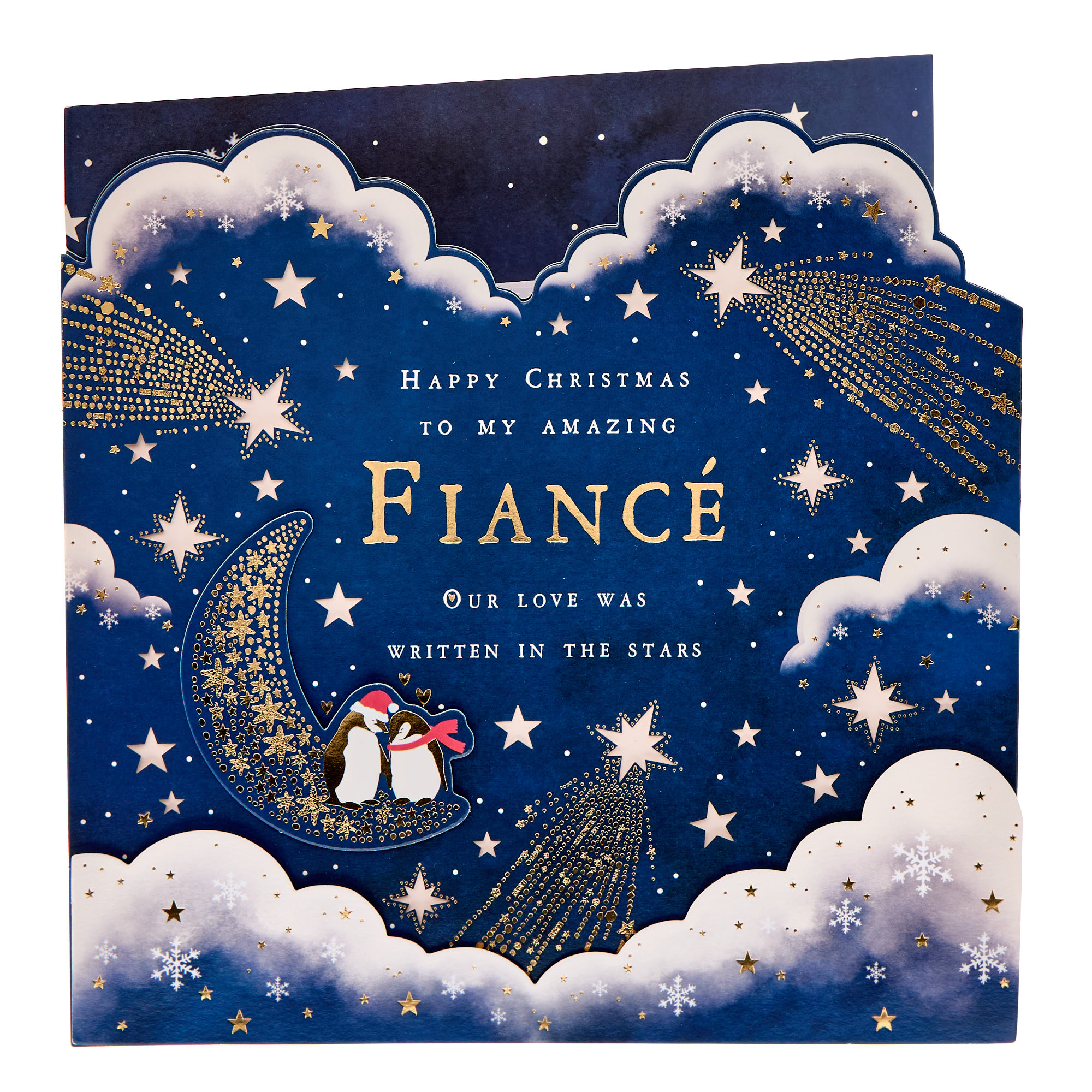 Fiancé Penguins, Clouds & Stars Premium Christmas Card