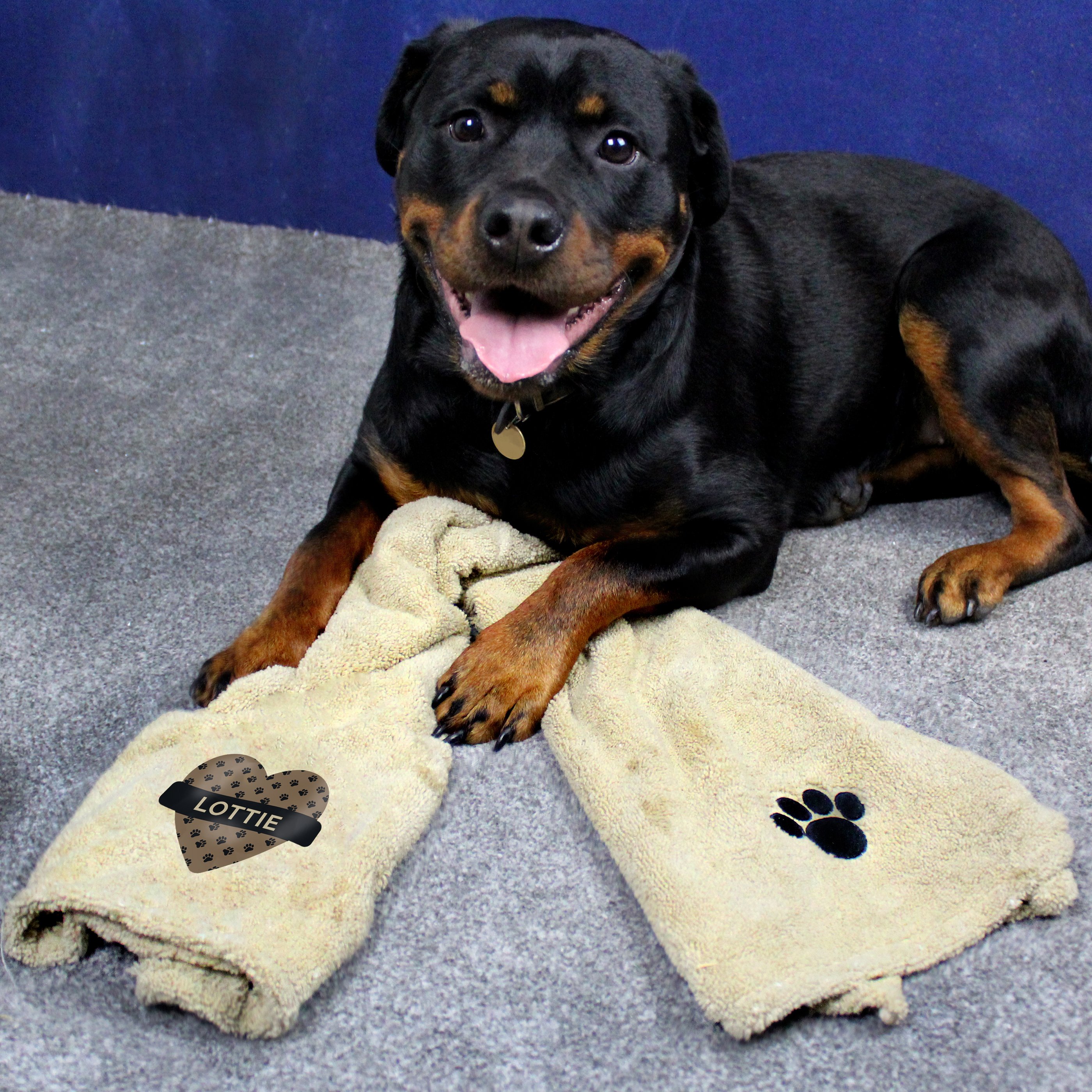 Personalised Heart Brown Microfibre Pet Towel