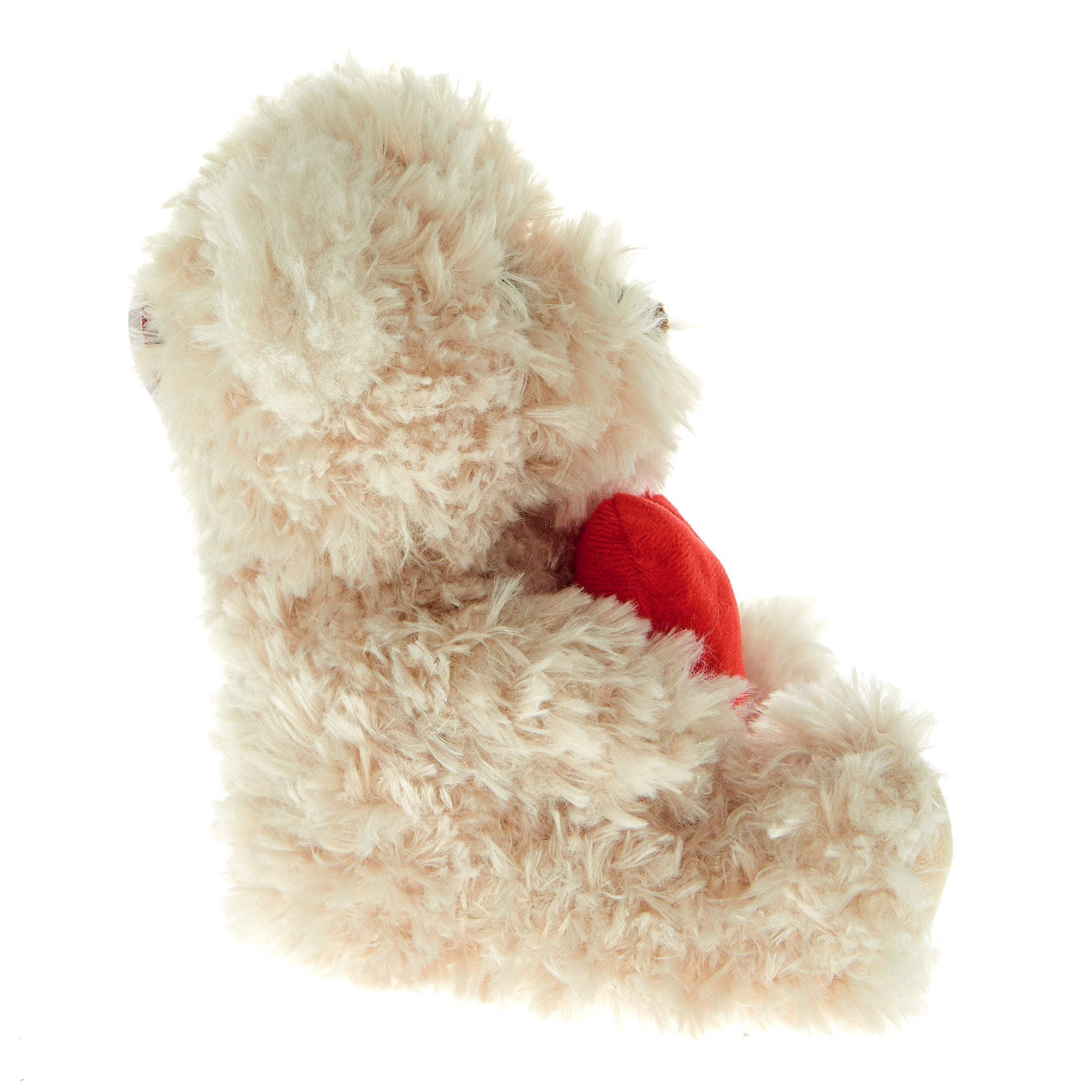 Small Bear With Heart Soft Toy