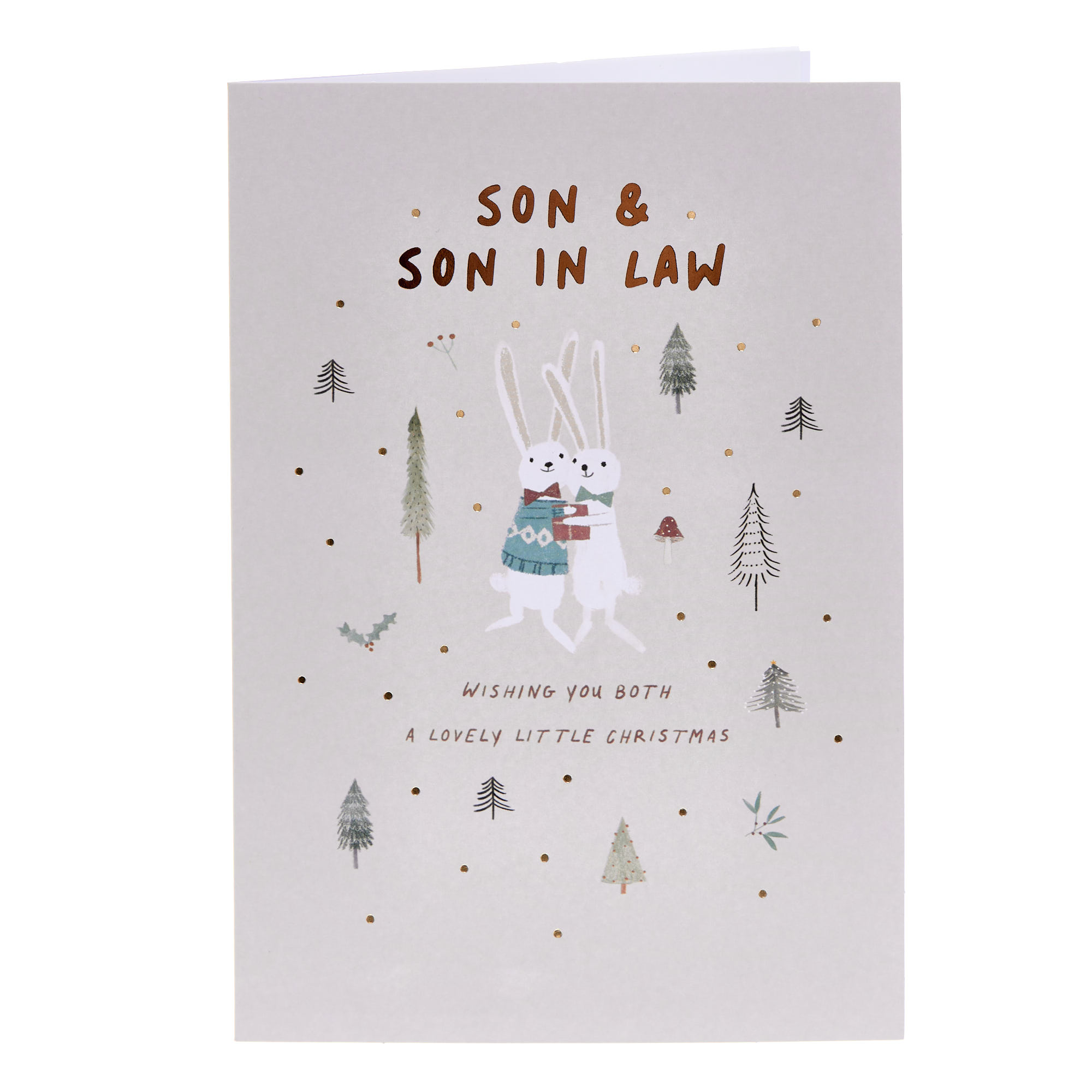 Son & Son in Law Hugging Rabbits Christmas Card