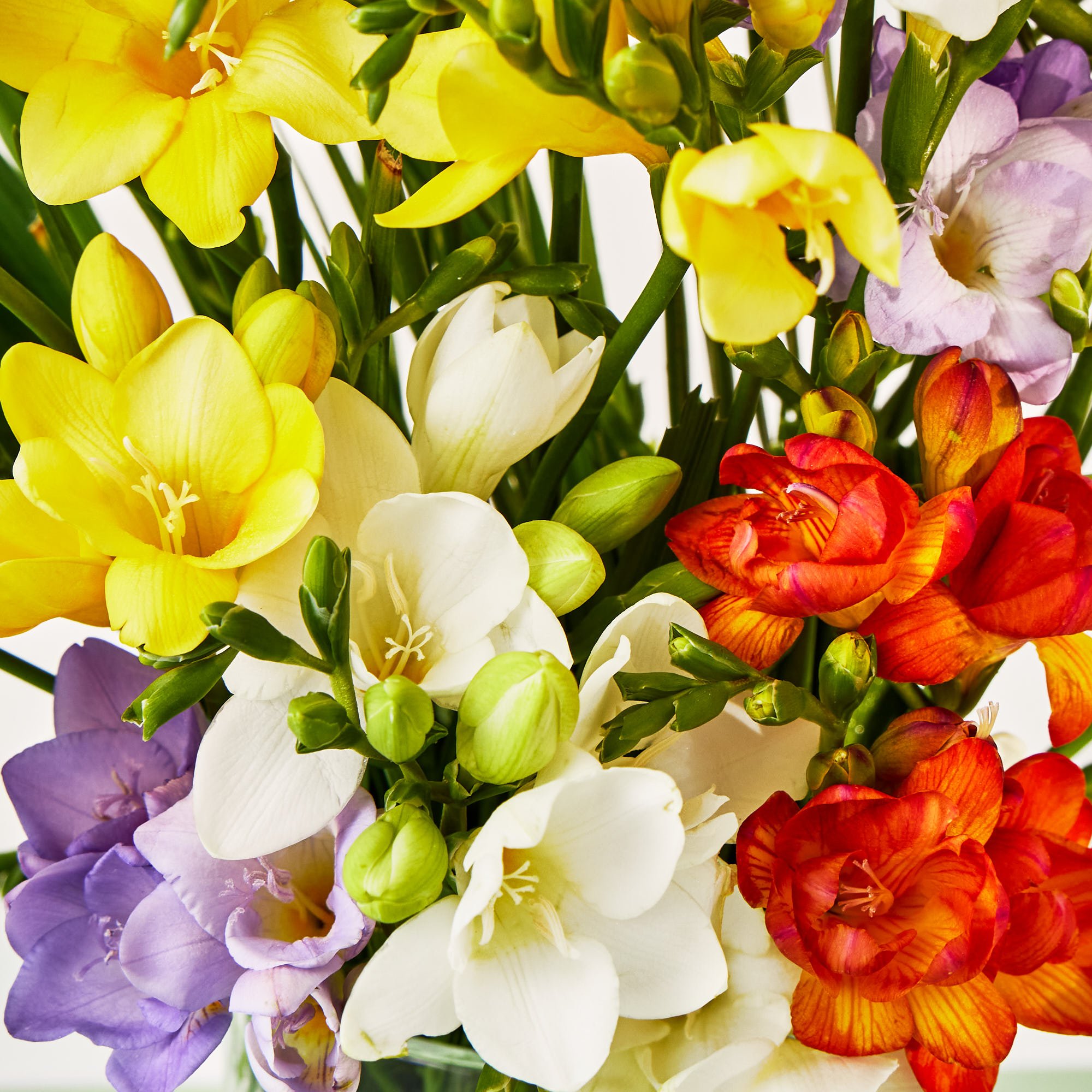 Silver Heart Balloon & Just Freesias Flower Bouquet