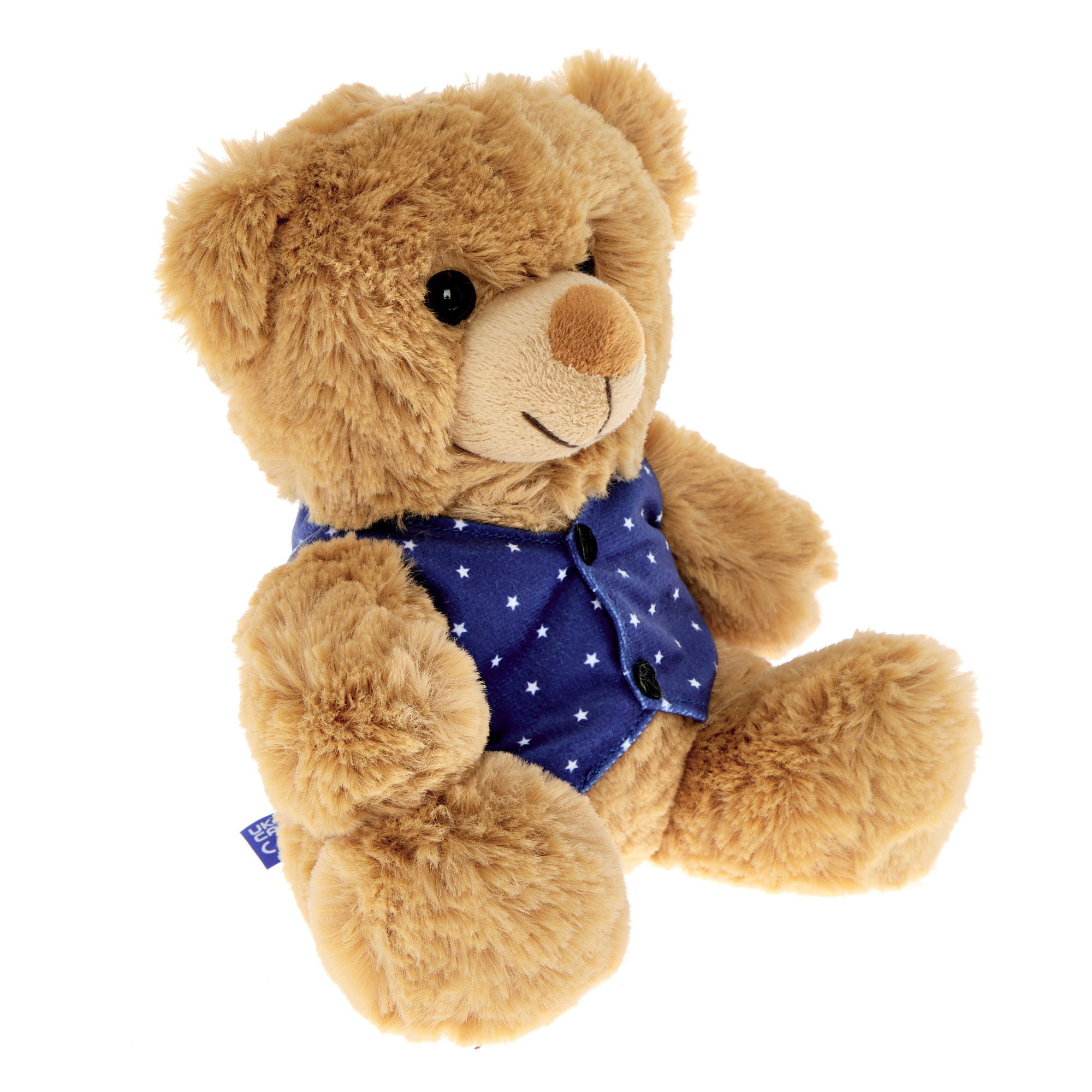 Small Classic Bear In A Waistcoat Soft Toy