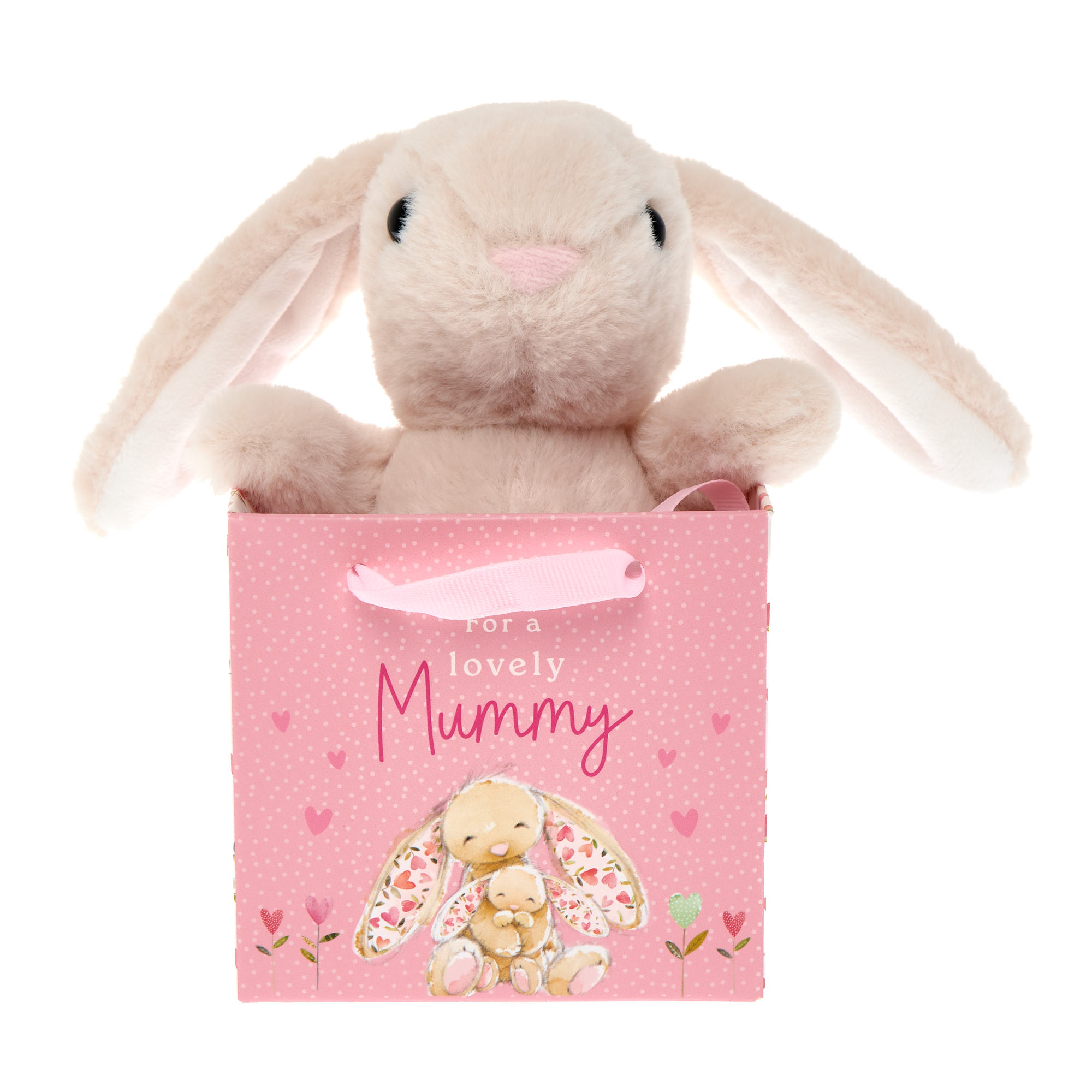 Lovely Mummy Cute Bunny Soft Toy in a Bag