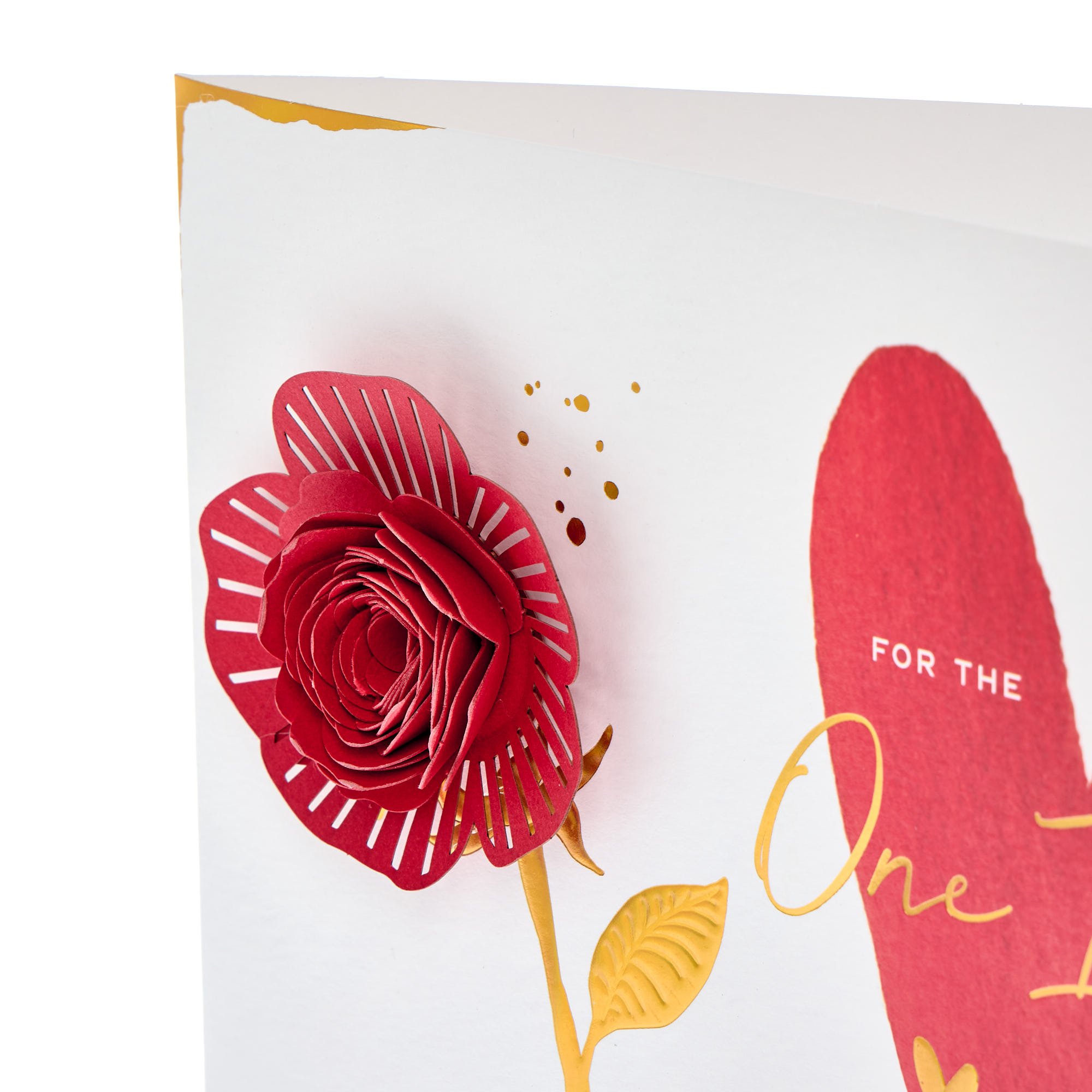 For The One I Love Red Rose Luxury Boxed Valentine's Day Card