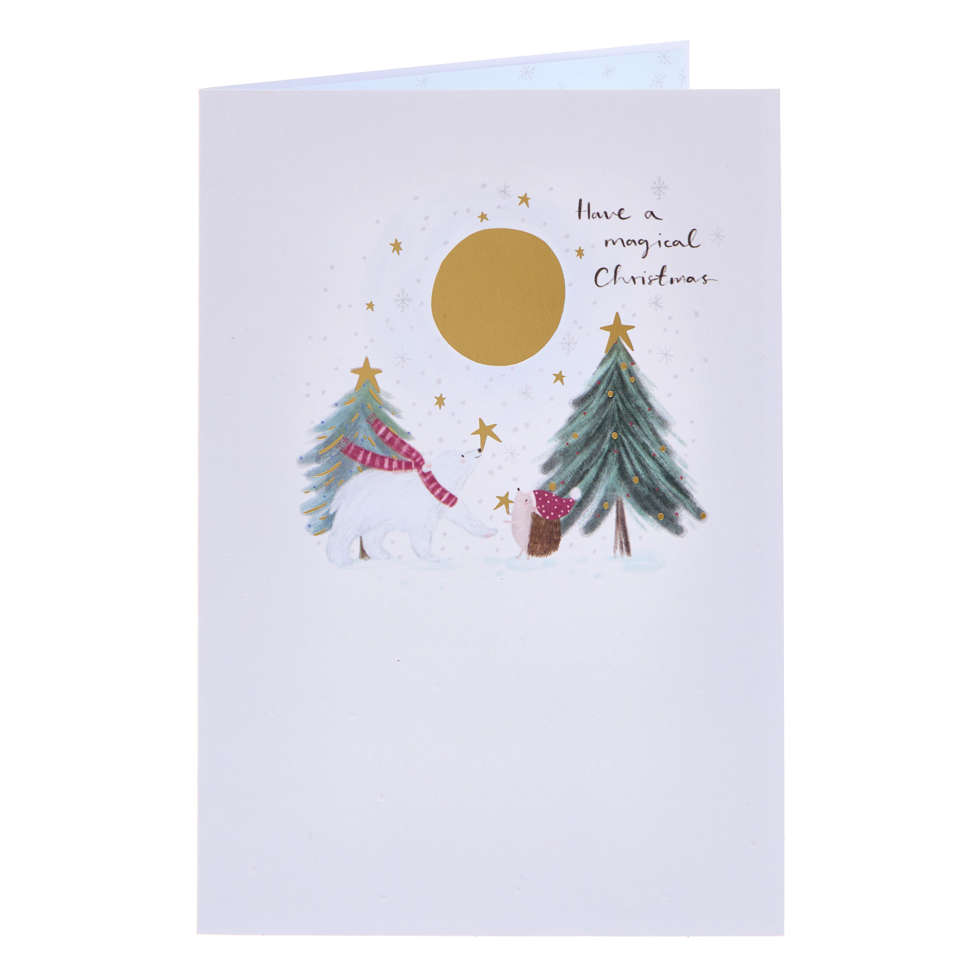 Magical Hedgehog & Polar Bear Christmas Card