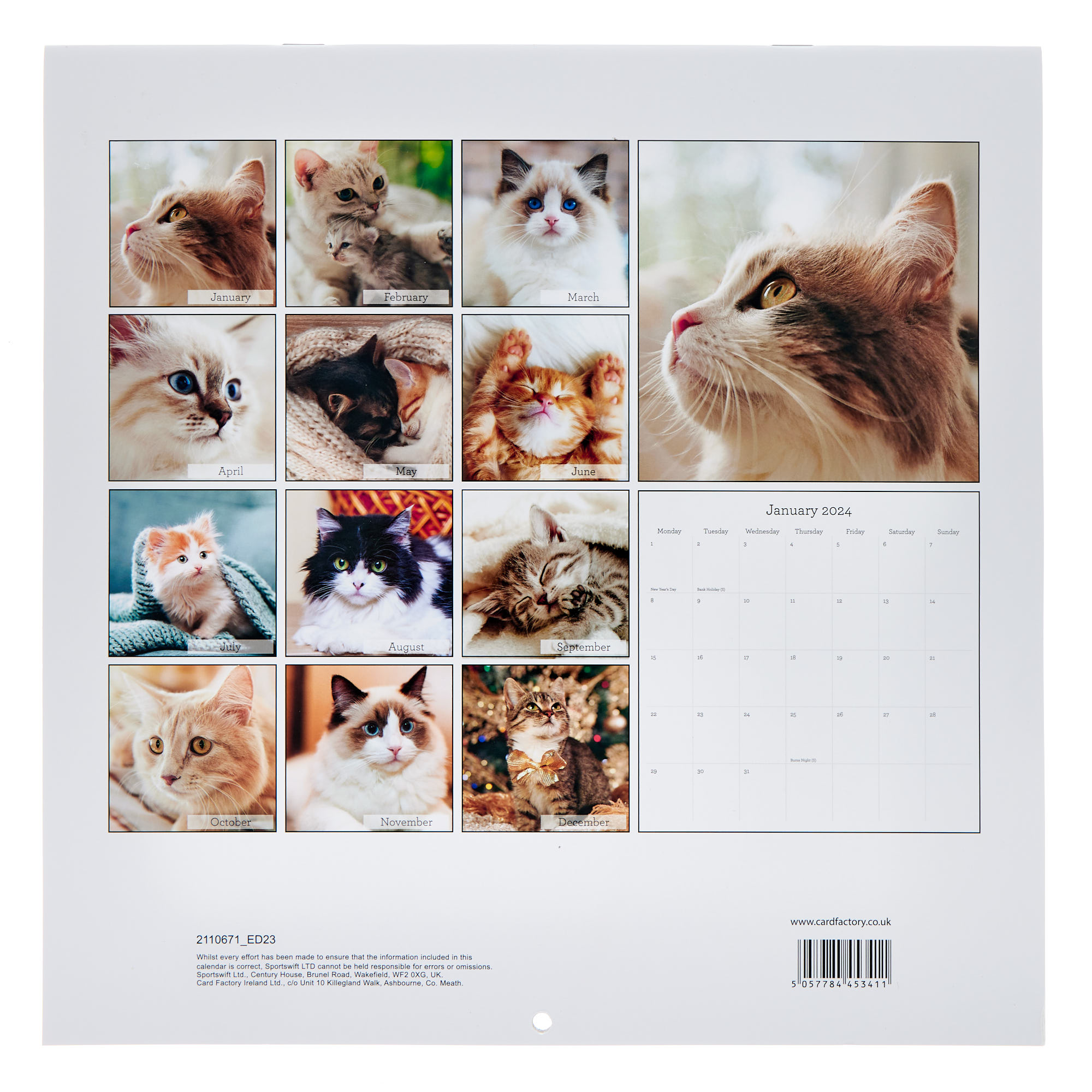 Cats 2024 Square Calendar