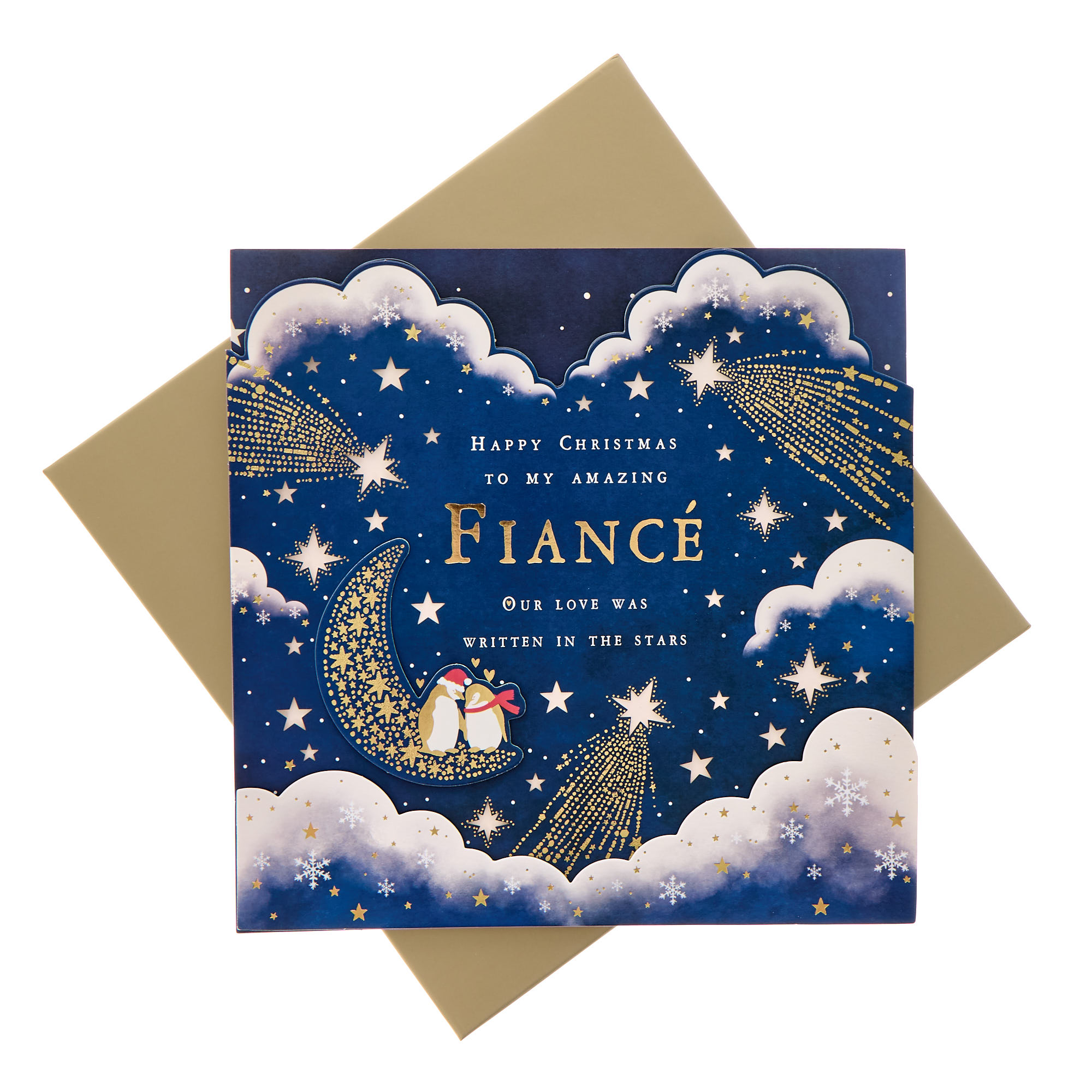 Fiancé Penguins, Clouds & Stars Premium Christmas Card