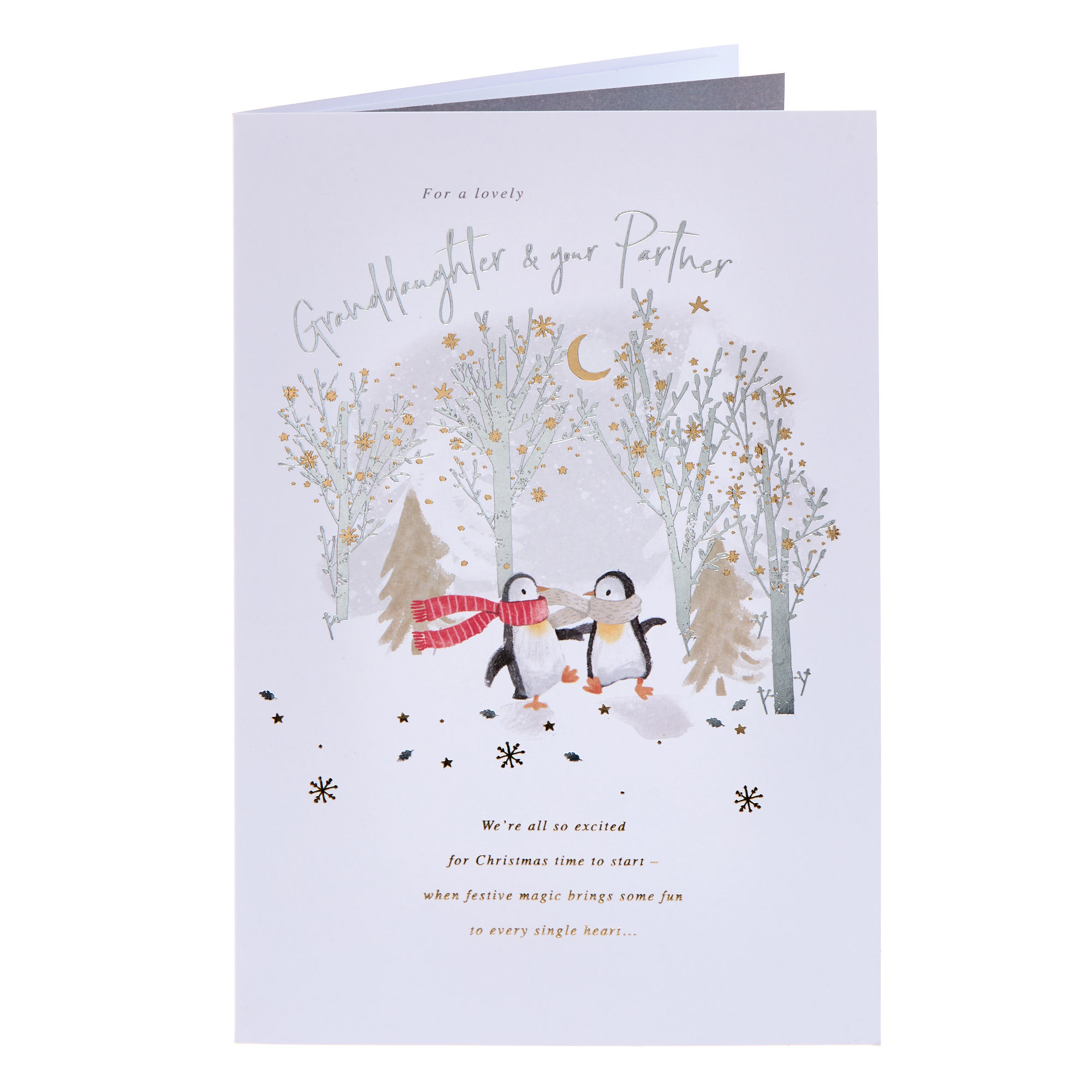 Granddaughter & Your Partner Penguins Christmas Card