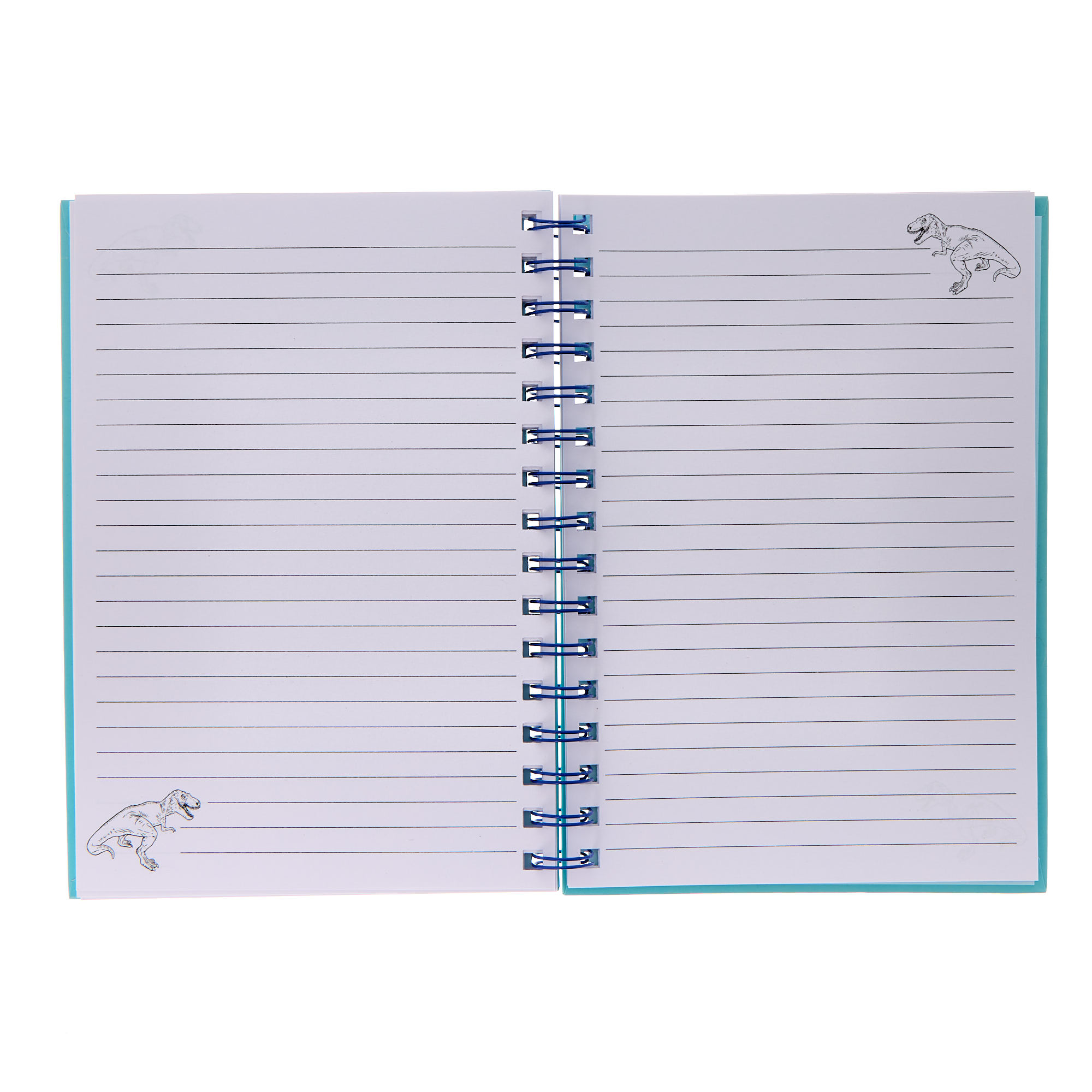 Dinosaur Fidget Notebook