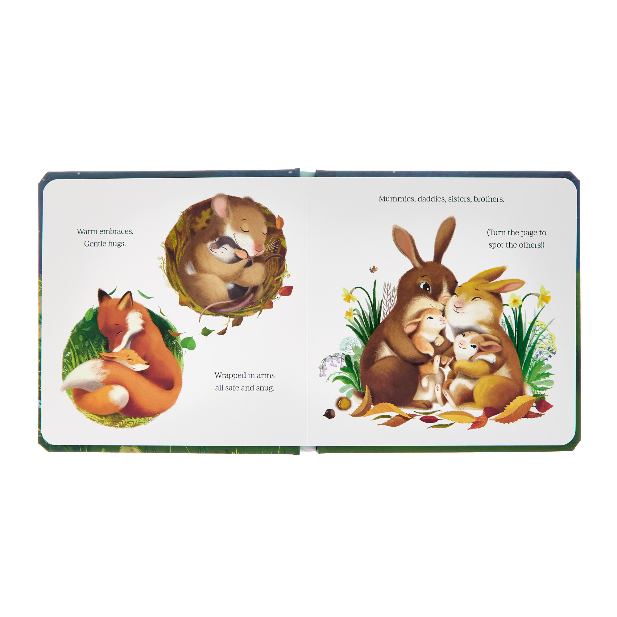 Big Hugs For Little Bear Board Book