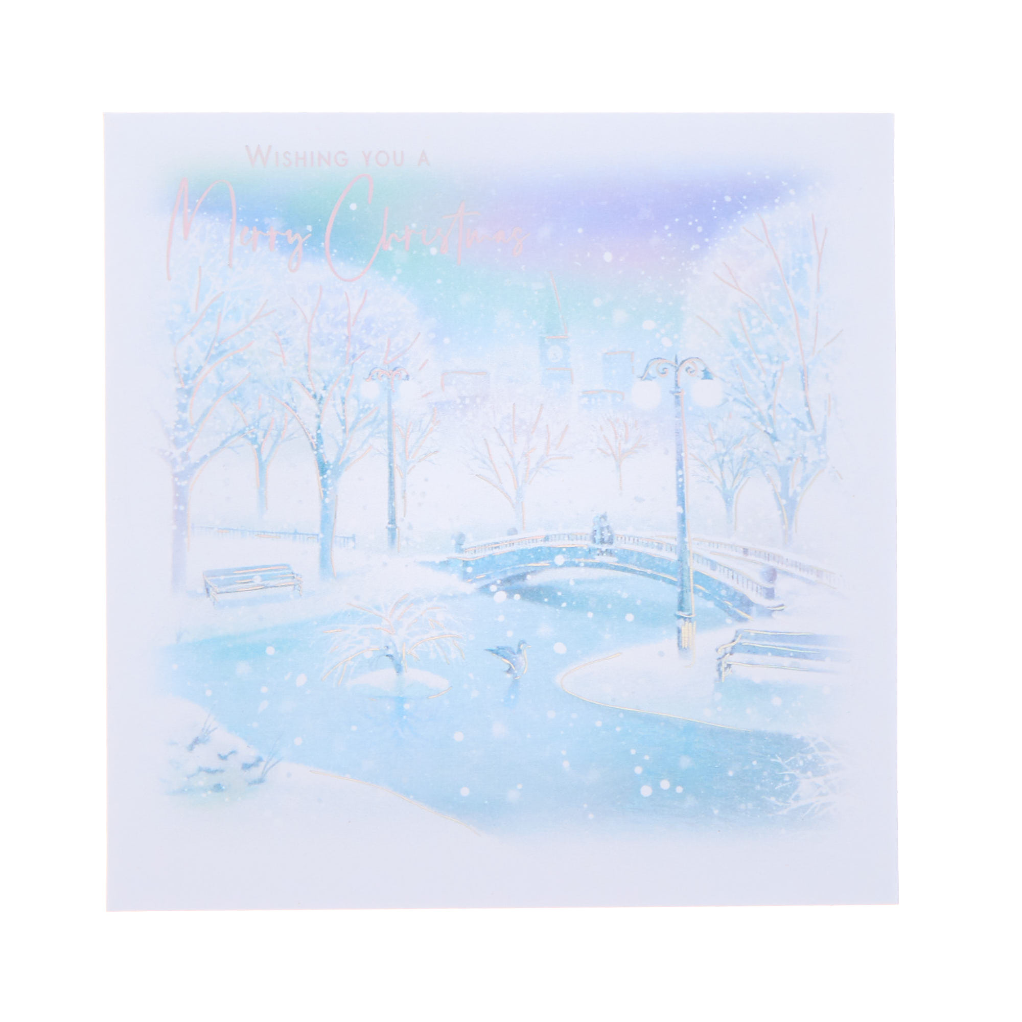 18 Charity Christmas Cards - Iridescent Snow (2 Designs)