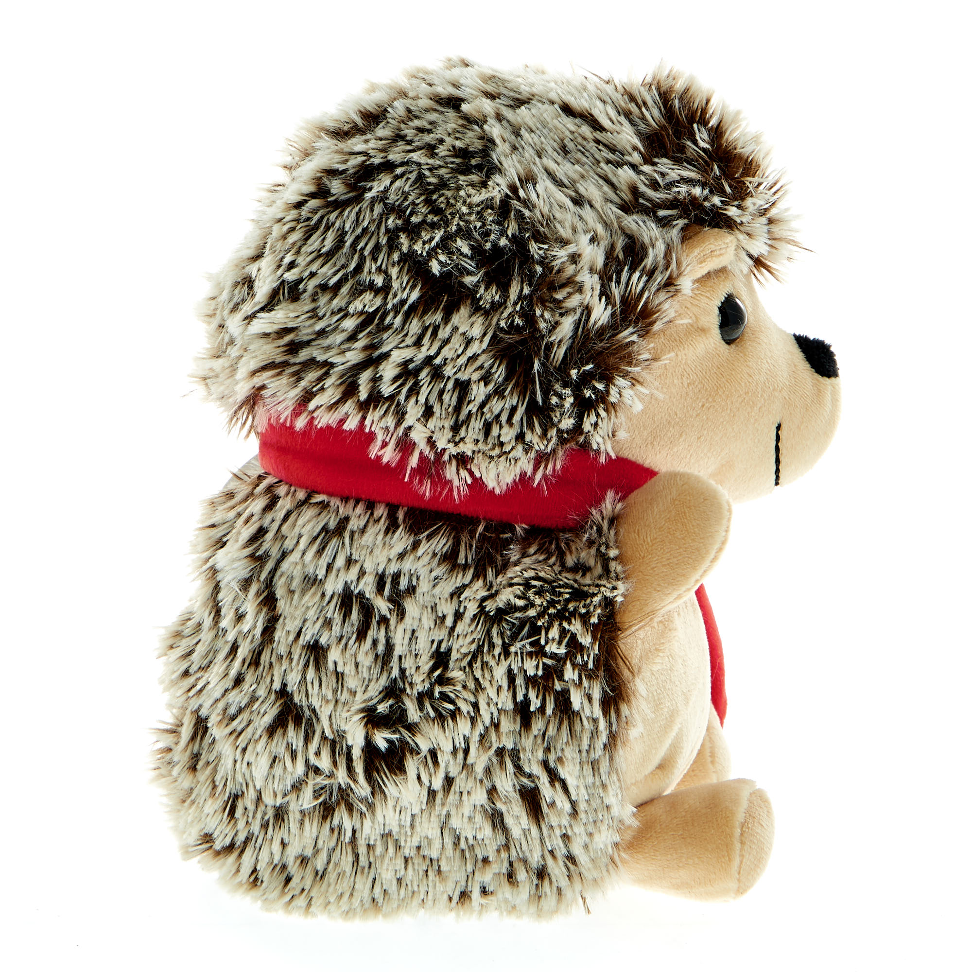 Small Hedgehog Soft Toy