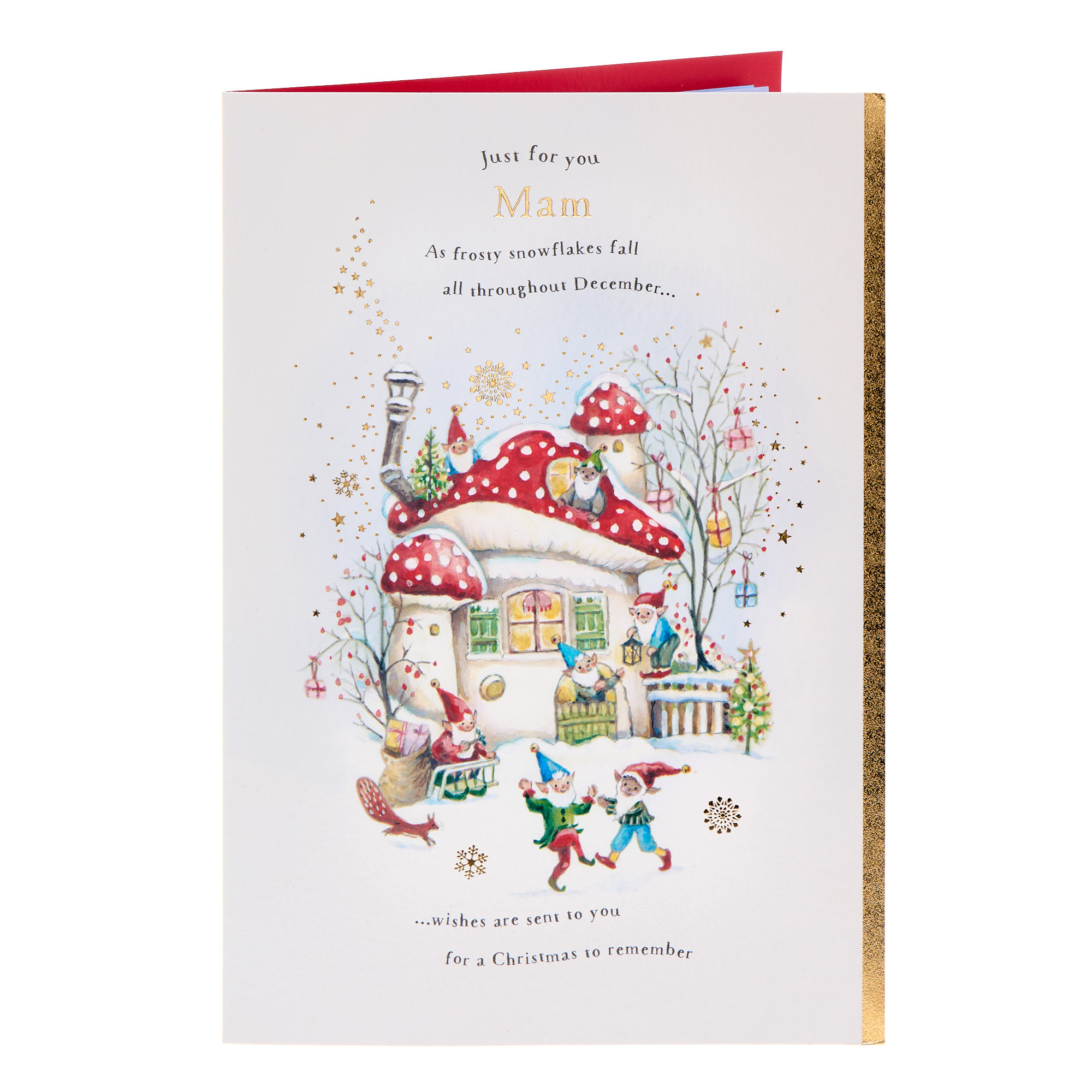 Mam Mushroom & Gnomes Christmas Card