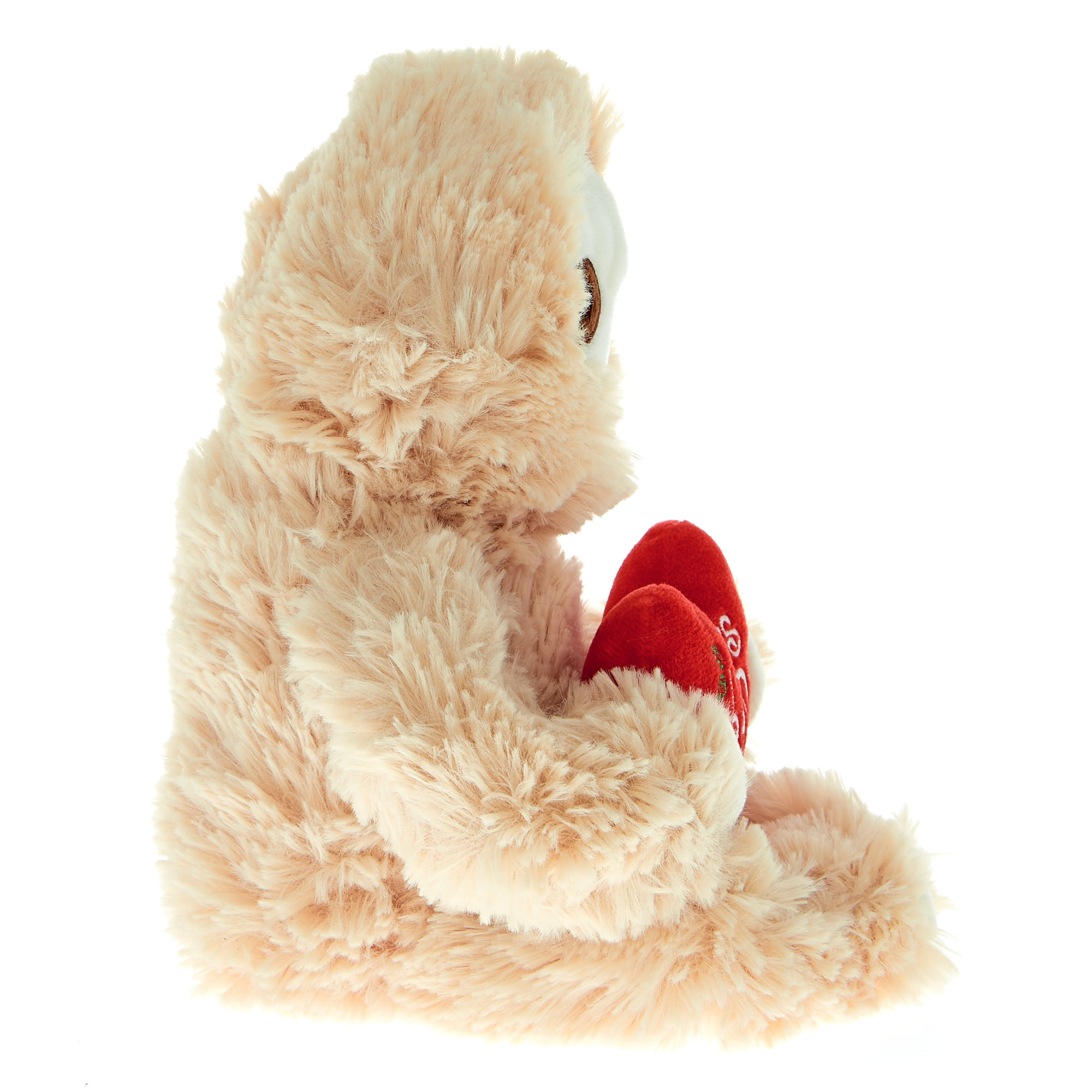 Let's Hang Out Sloth Soft Toy With Heart