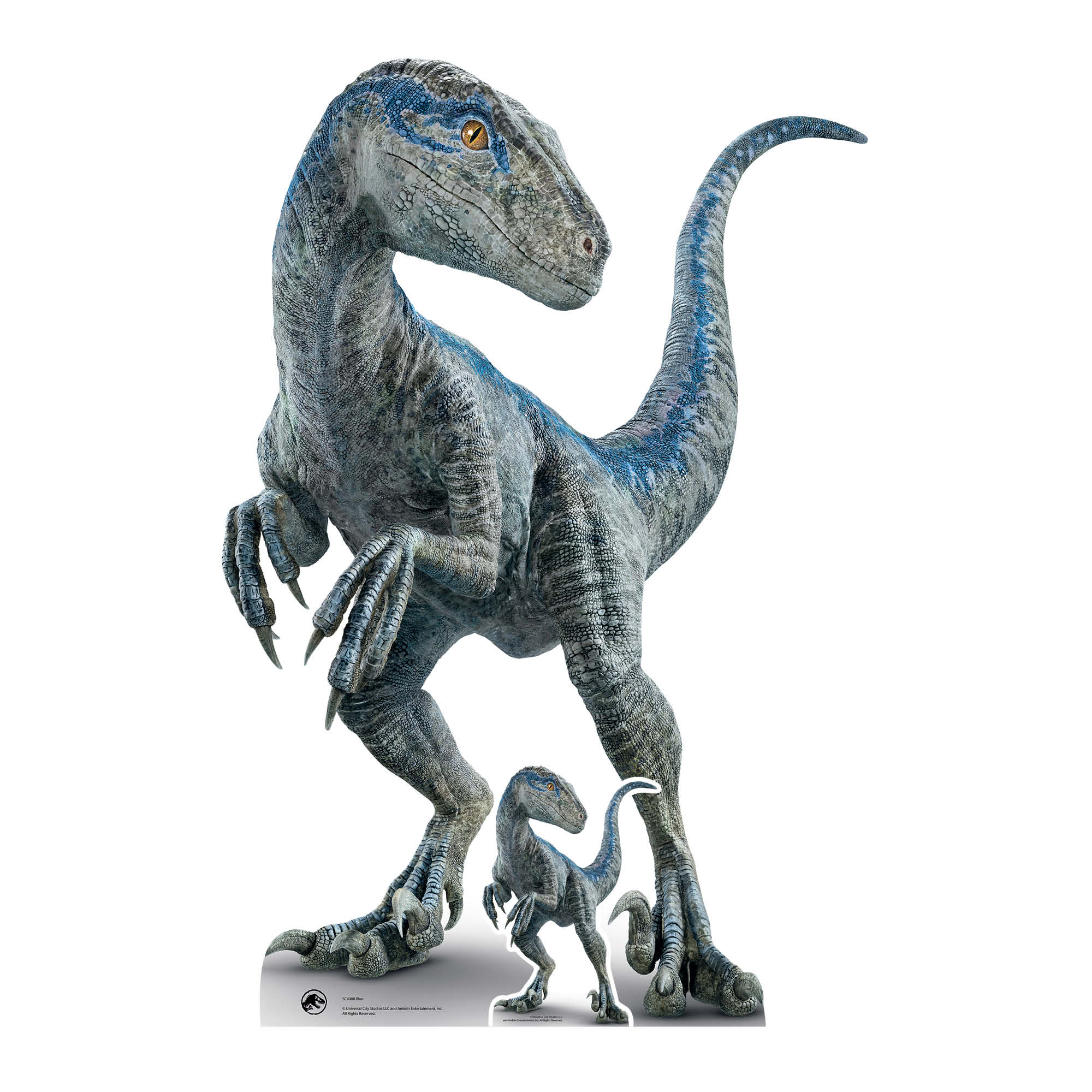 Medium Jurassic World Blue Raptor Cardboard Cutout