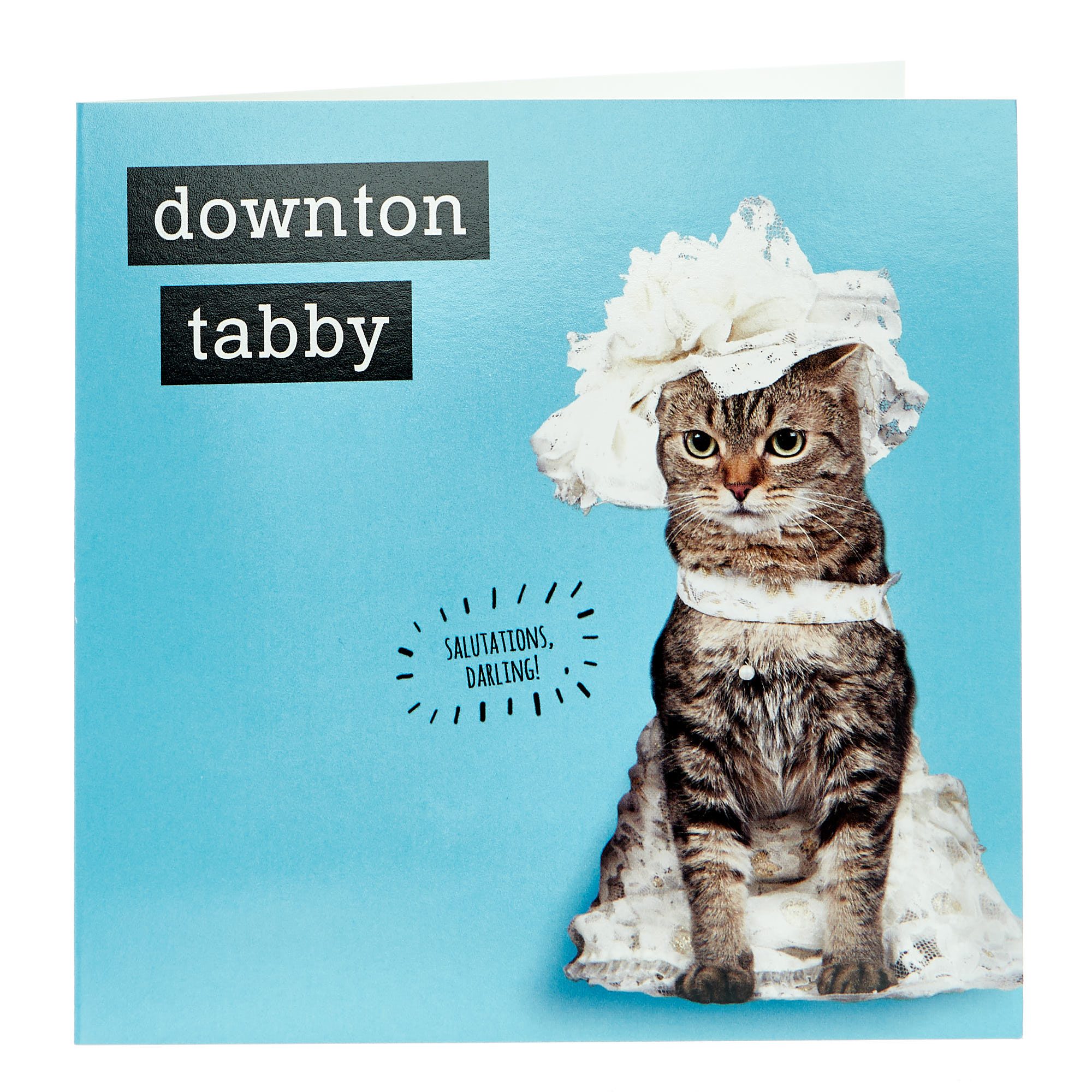 Birthday Card - Downton Tabby