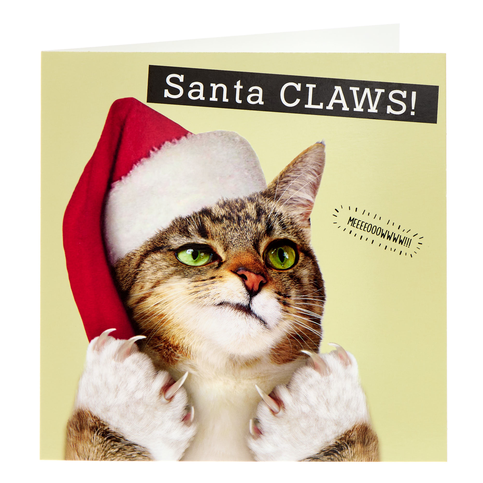 Santa Claws Meow Christmas Card