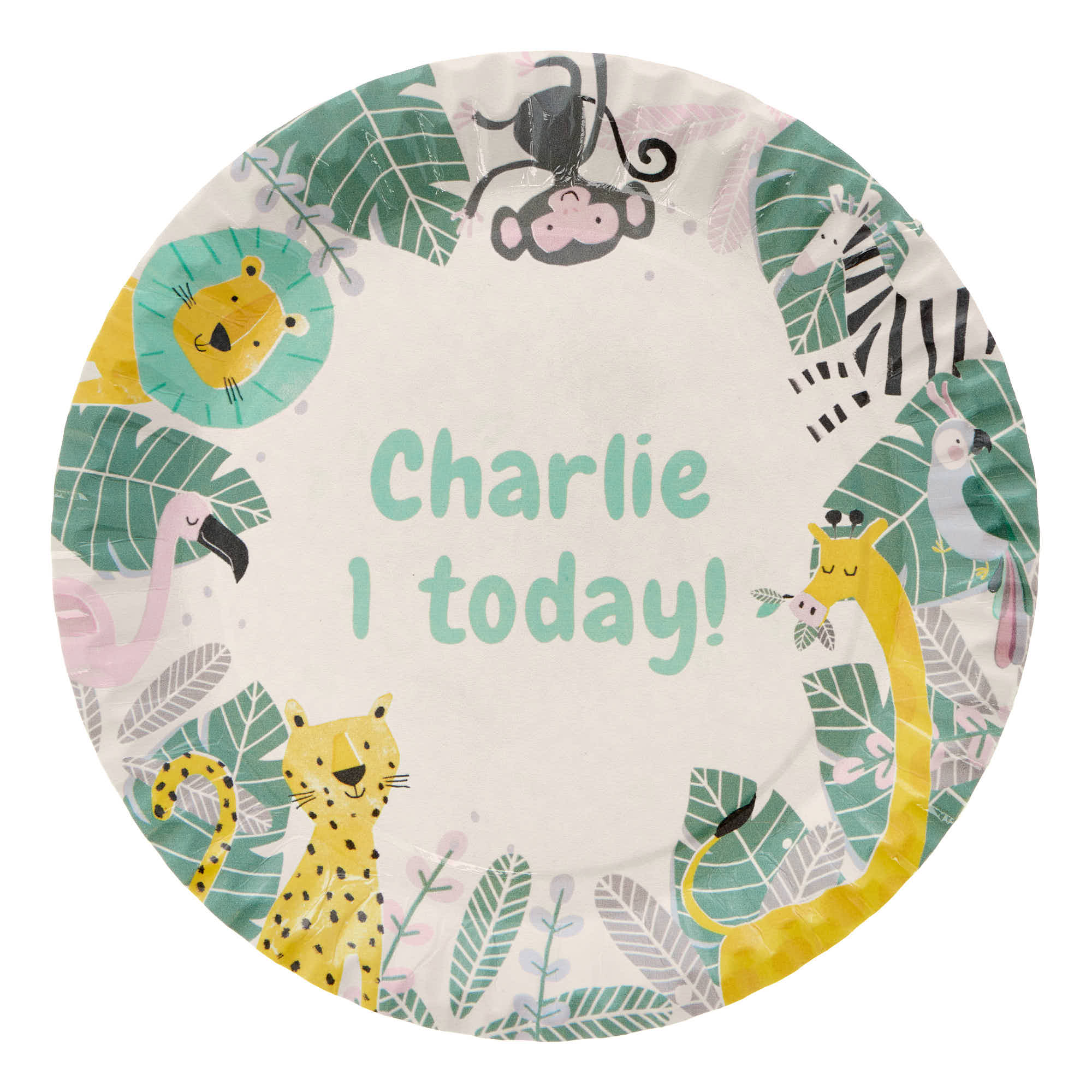 Jungle Animals Personalised Party Plate