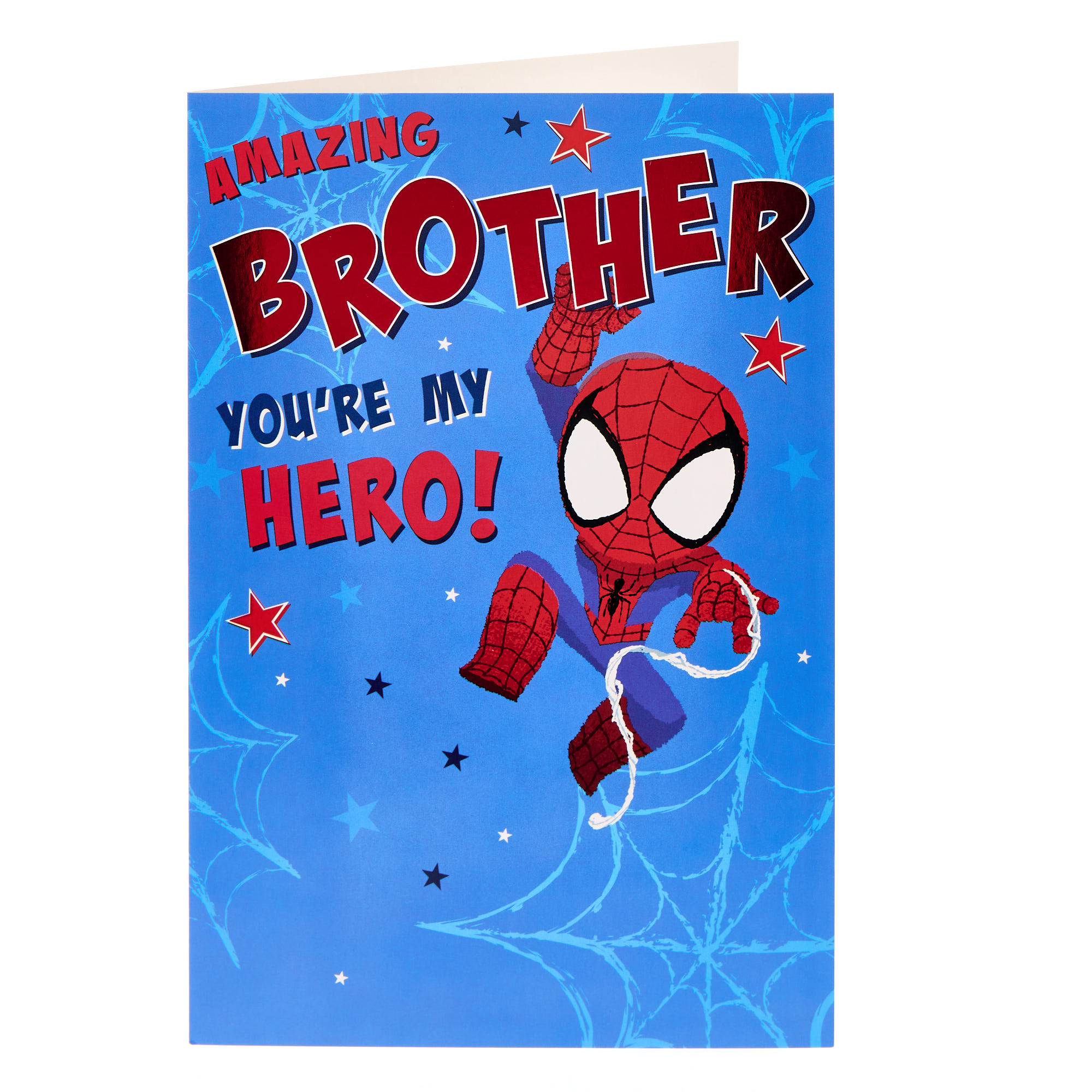 Brother Spider-Man Wordsearch Birthday Card