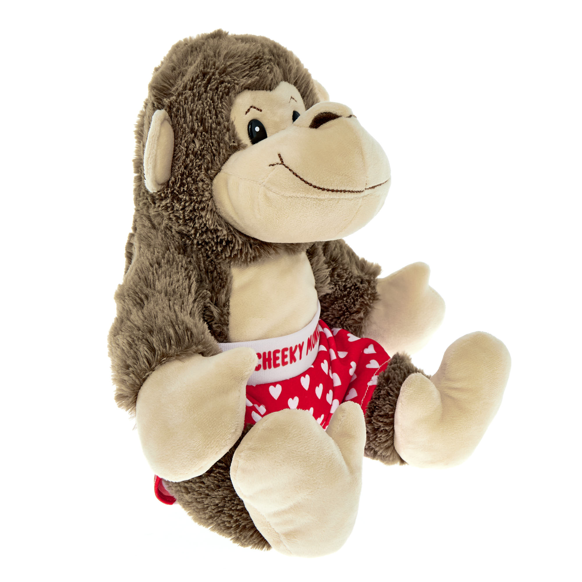 Large Cheeky Monkey Soft Toy