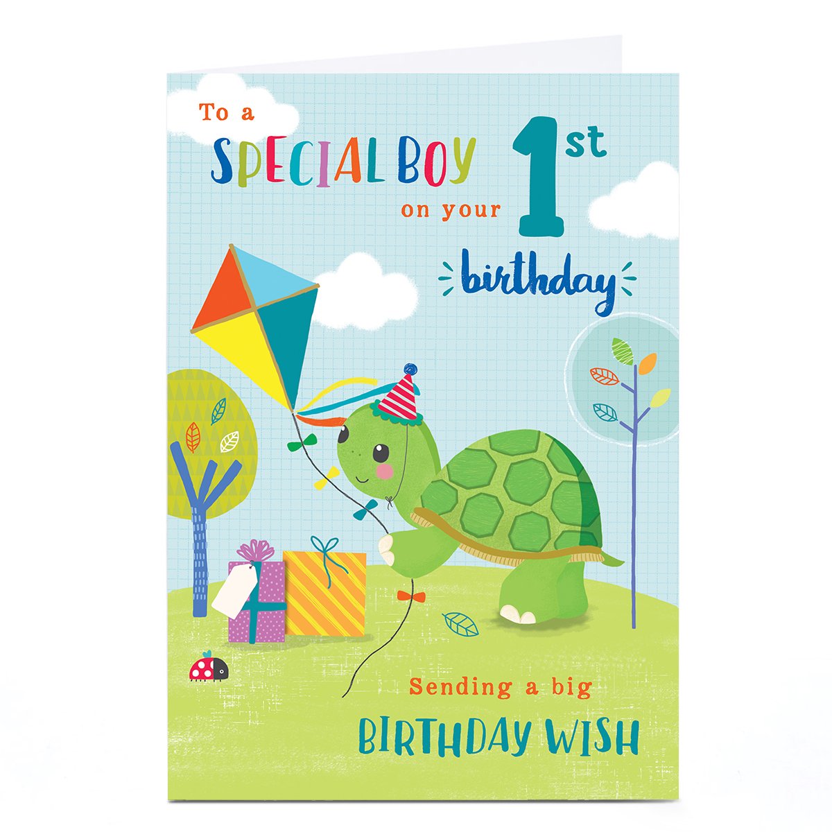 Personalised 1st Birthday Card - Tortoise with Kite, Special Boy