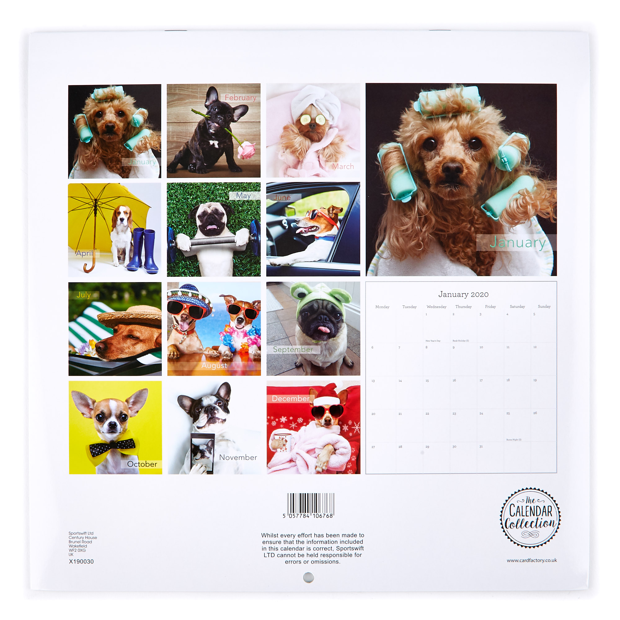 2020 Calendar - It's A Dog's Life